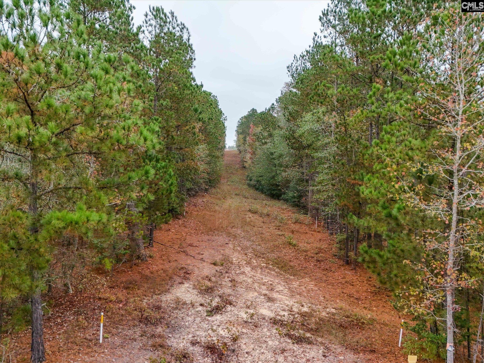 290 A Frost Road, Camden, South Carolina image 9