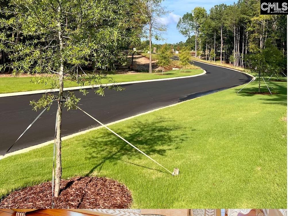 Stewart Landing Dr UNIT #125 Prosperity, SC 29127
