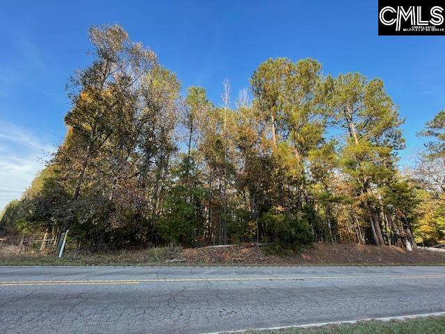 1620 Wash Lever Road Little Mountain, SC 29075