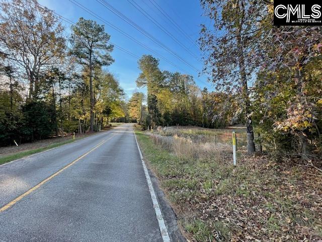 1620 Wash Lever Road, Little Mountain, South Carolina image 2