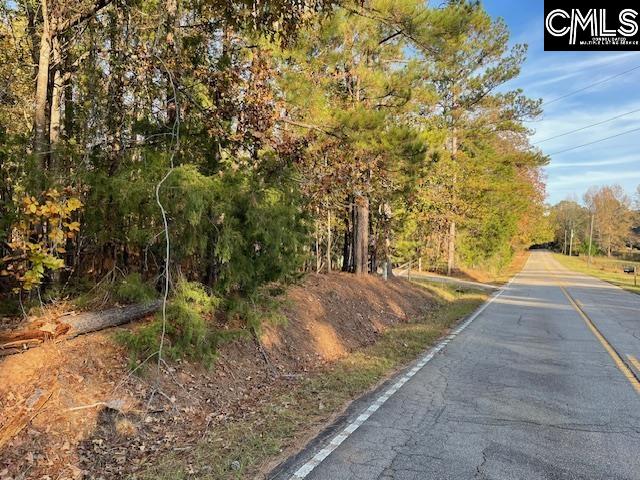 1620 Wash Lever Road, Little Mountain, South Carolina image 3