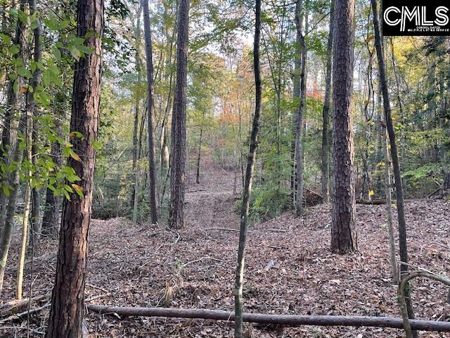 1620 Wash Lever Road, Little Mountain, South Carolina image 4