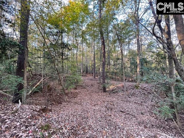 1620 Wash Lever Road, Little Mountain, South Carolina image 5