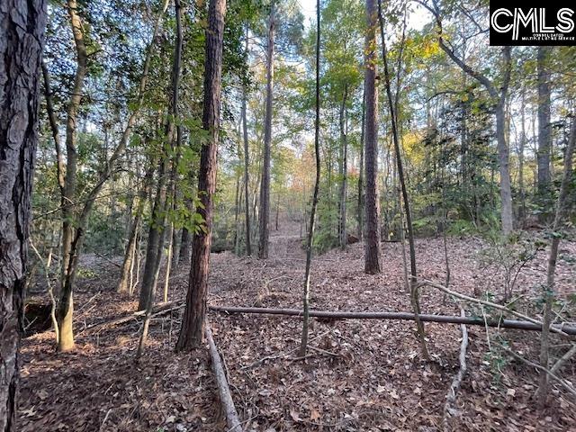 1620 Wash Lever Road, Little Mountain, South Carolina image 6