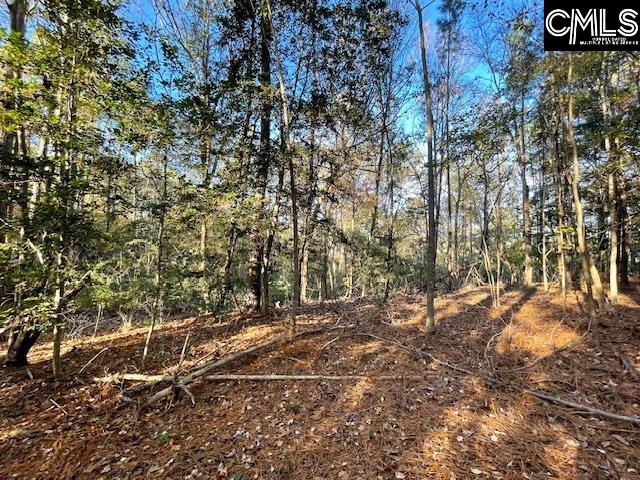 1620 Wash Lever Road, Little Mountain, South Carolina image 8