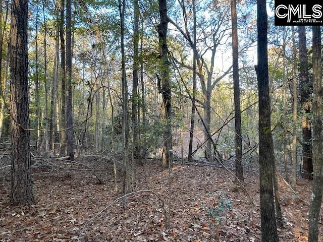 1620 Wash Lever Road, Little Mountain, South Carolina image 9