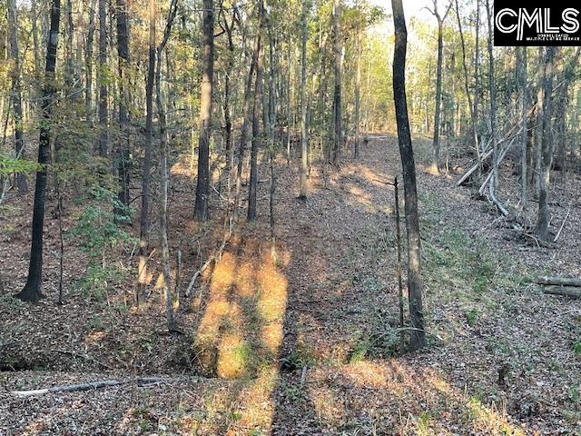 1620 Wash Lever Road, Little Mountain, South Carolina image 10