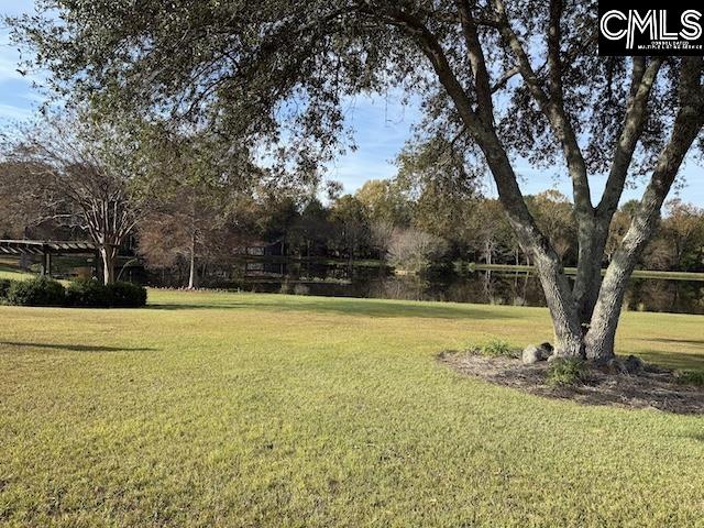 3604 Columbia Road UNIT LOT B,D,F Orangeburg, SC 29118