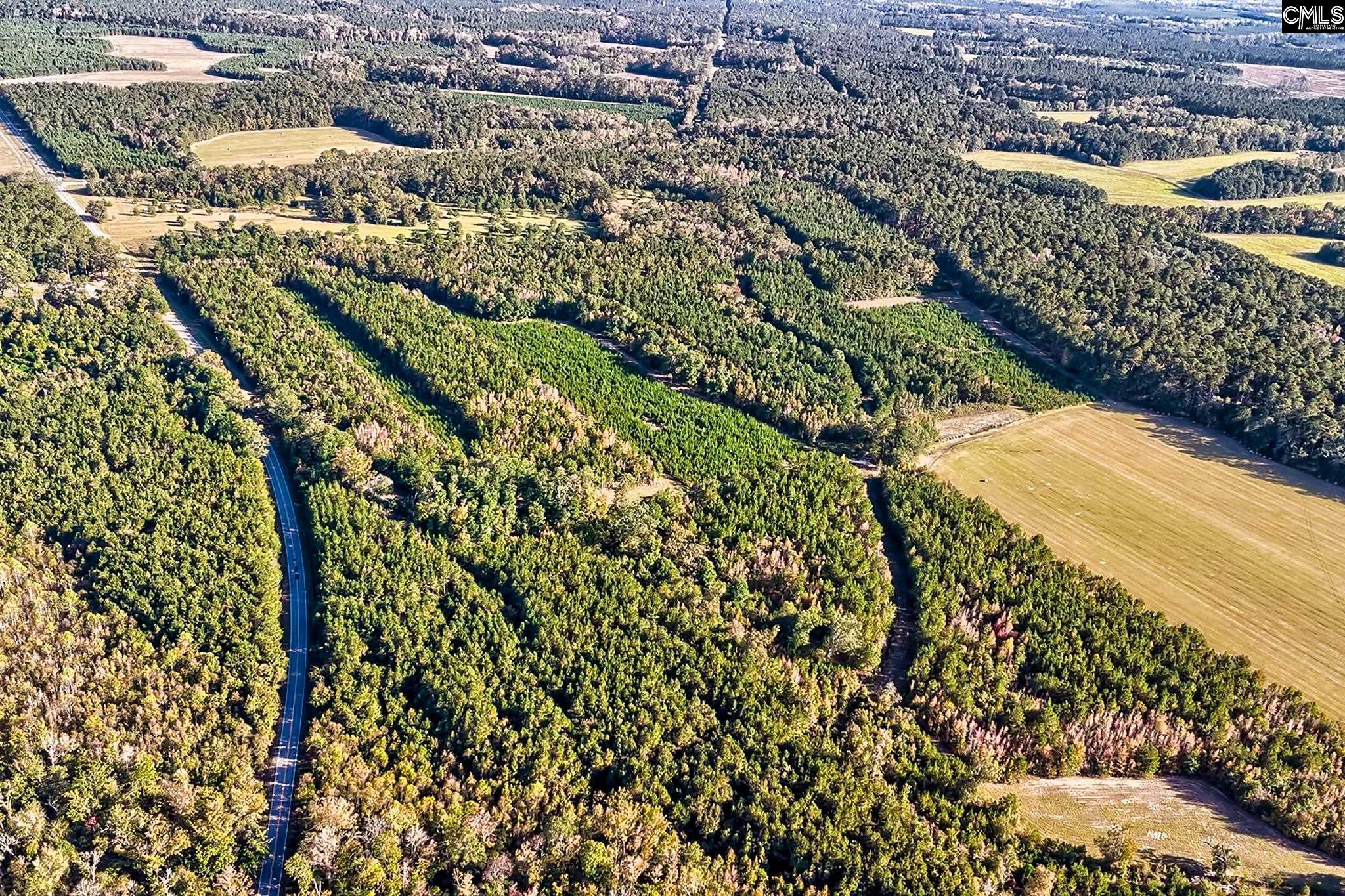 00 Broxton Bridge, Ehrhardt, South Carolina image 18