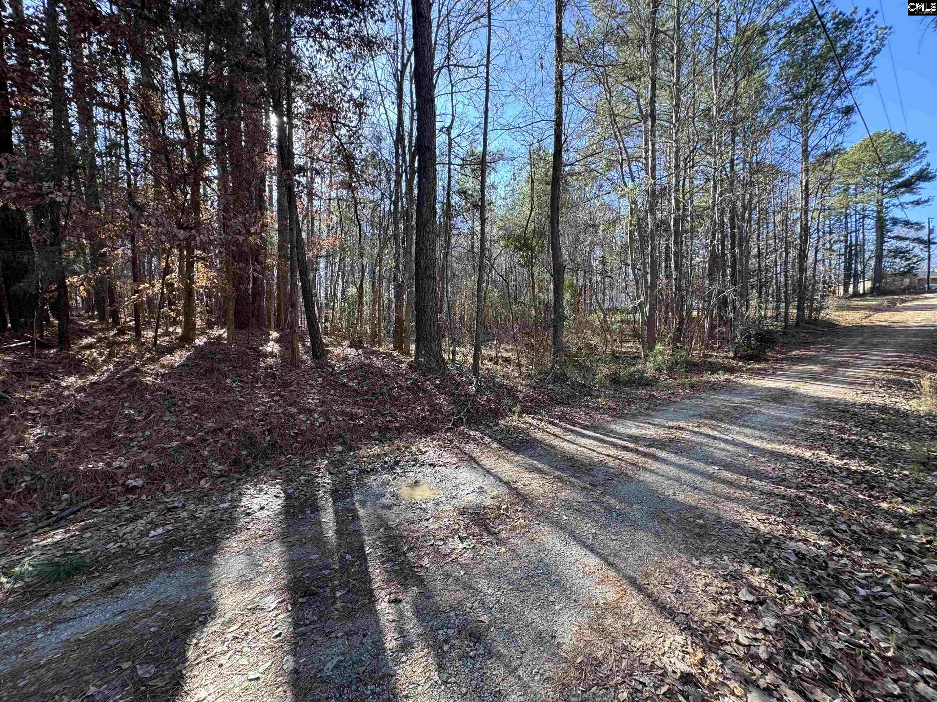 TBD Theron Circle, Lancaster, South Carolina image 2