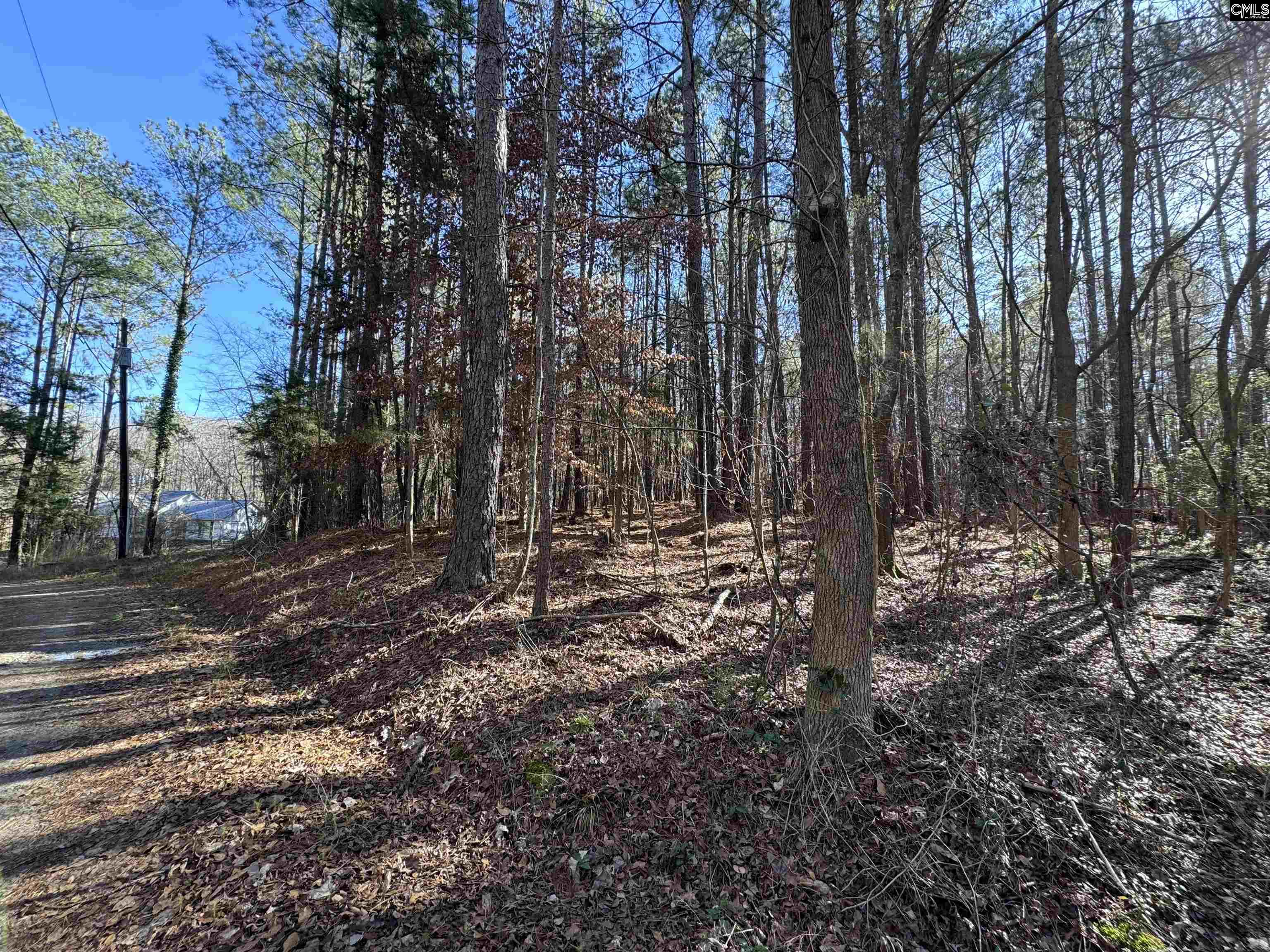 TBD Theron Circle, Lancaster, South Carolina image 3