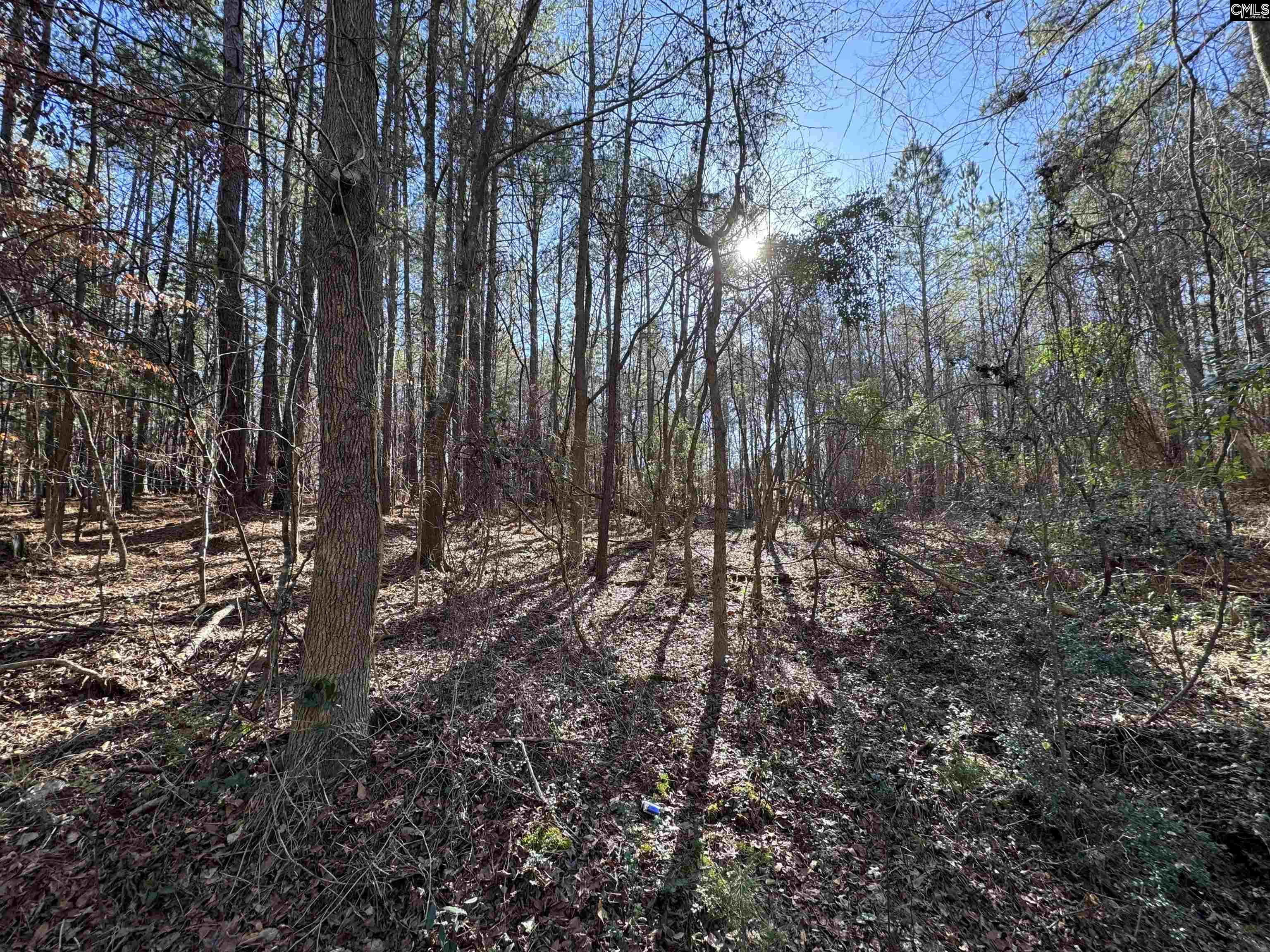 TBD Theron Circle, Lancaster, South Carolina image 4
