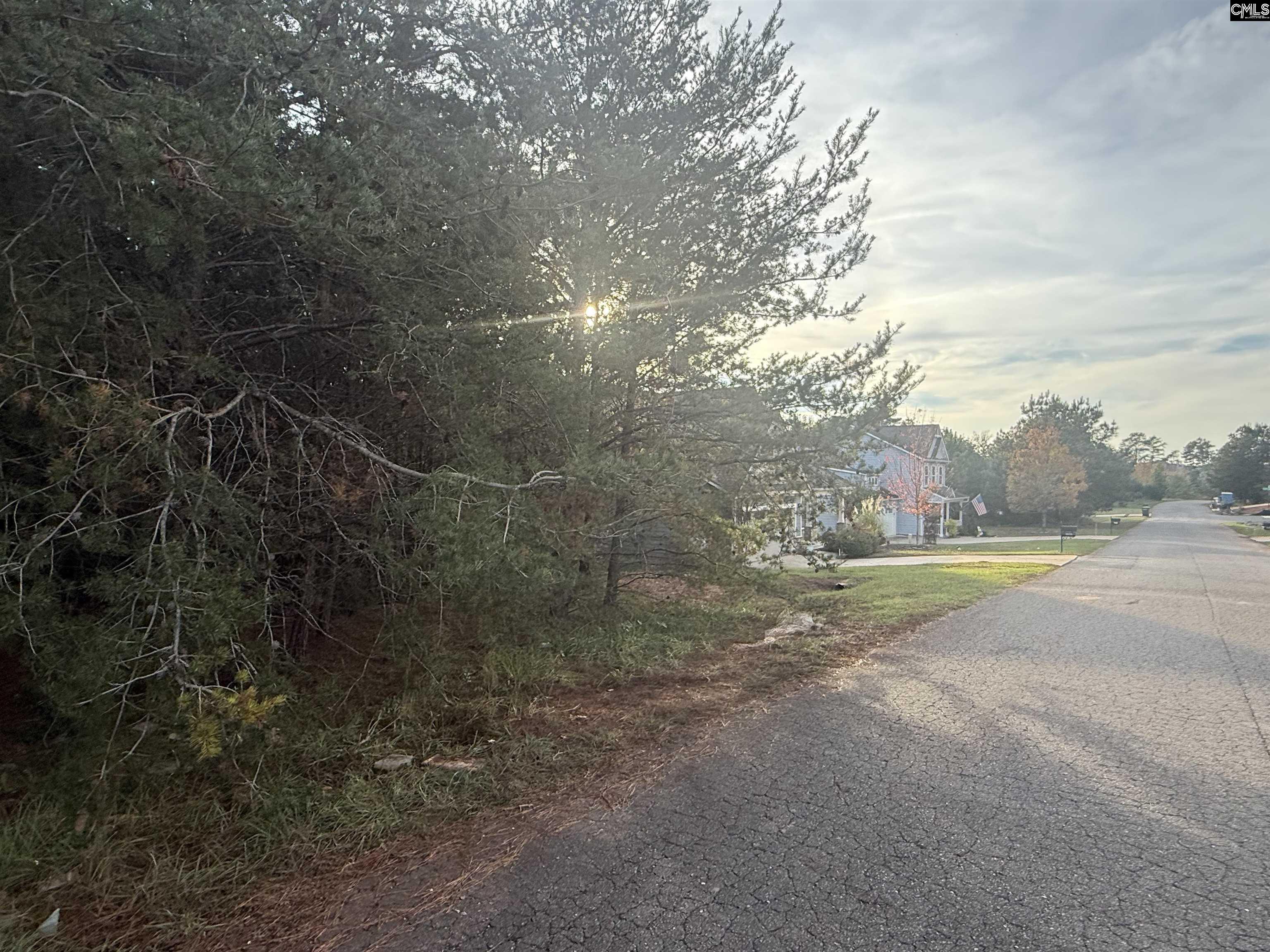 10153 Lakeshore Drive, Lancaster, South Carolina image 3