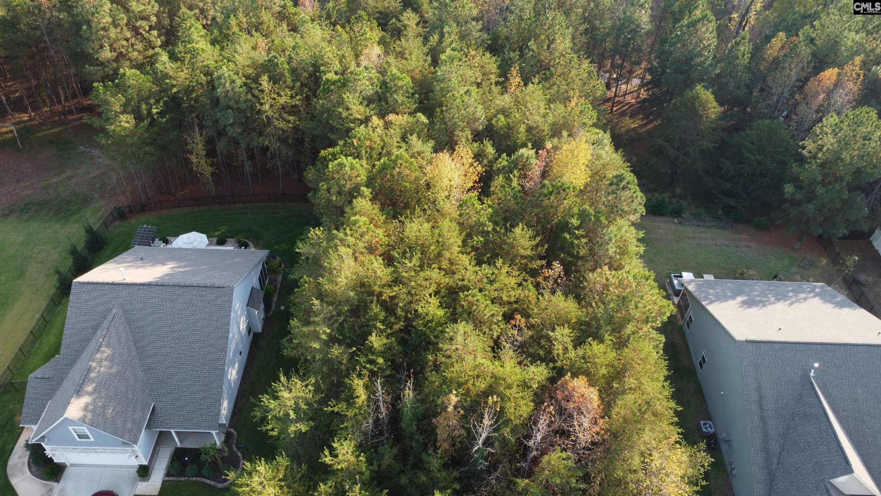 10153 Lakeshore Drive, Lancaster, South Carolina image 5