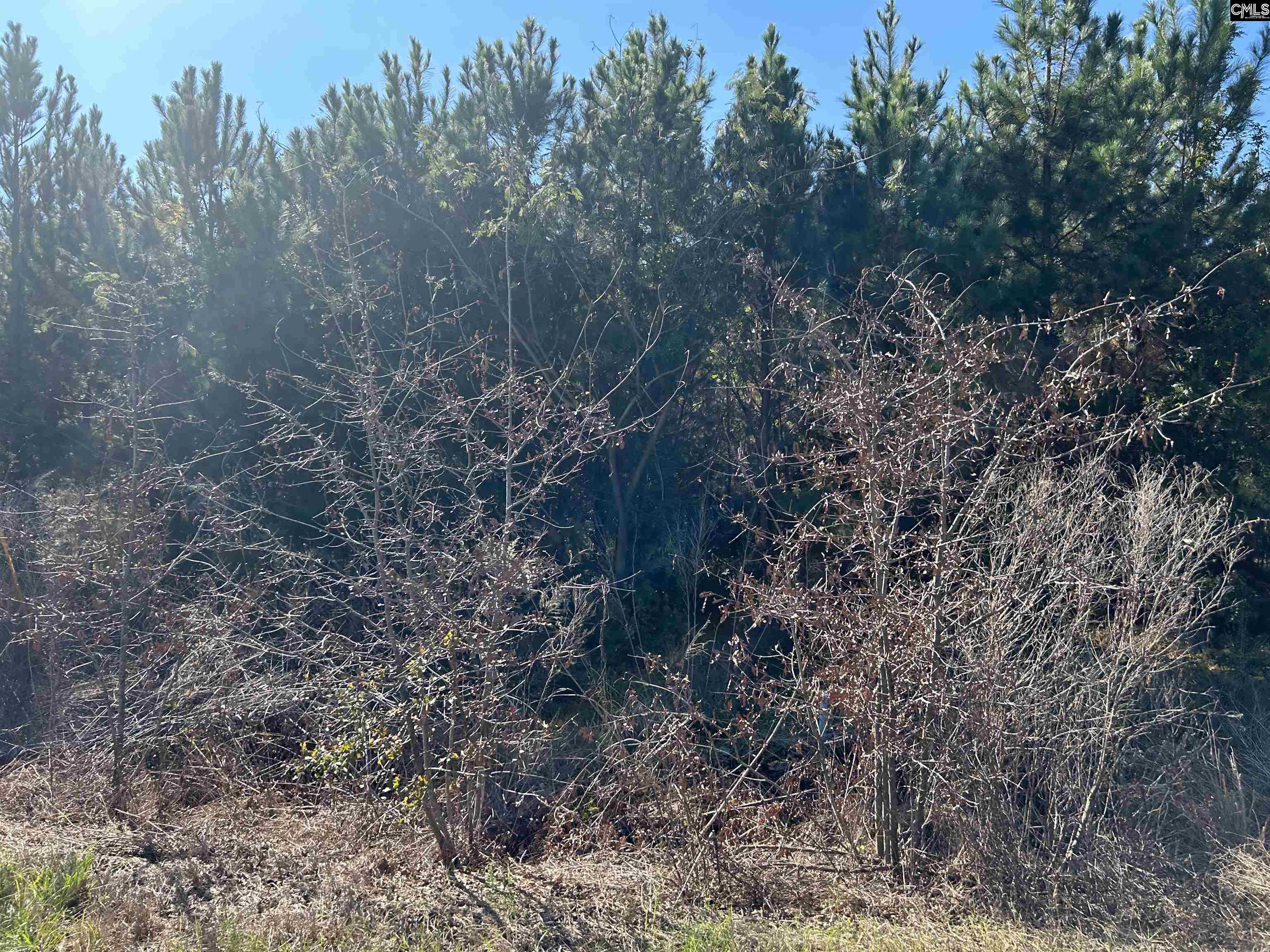 Leaphart Road Lexington, SC 29073