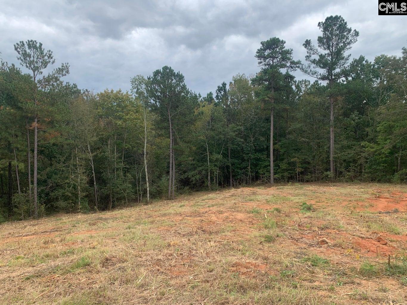 70 Bella Vita Way, North Augusta, South Carolina image 1