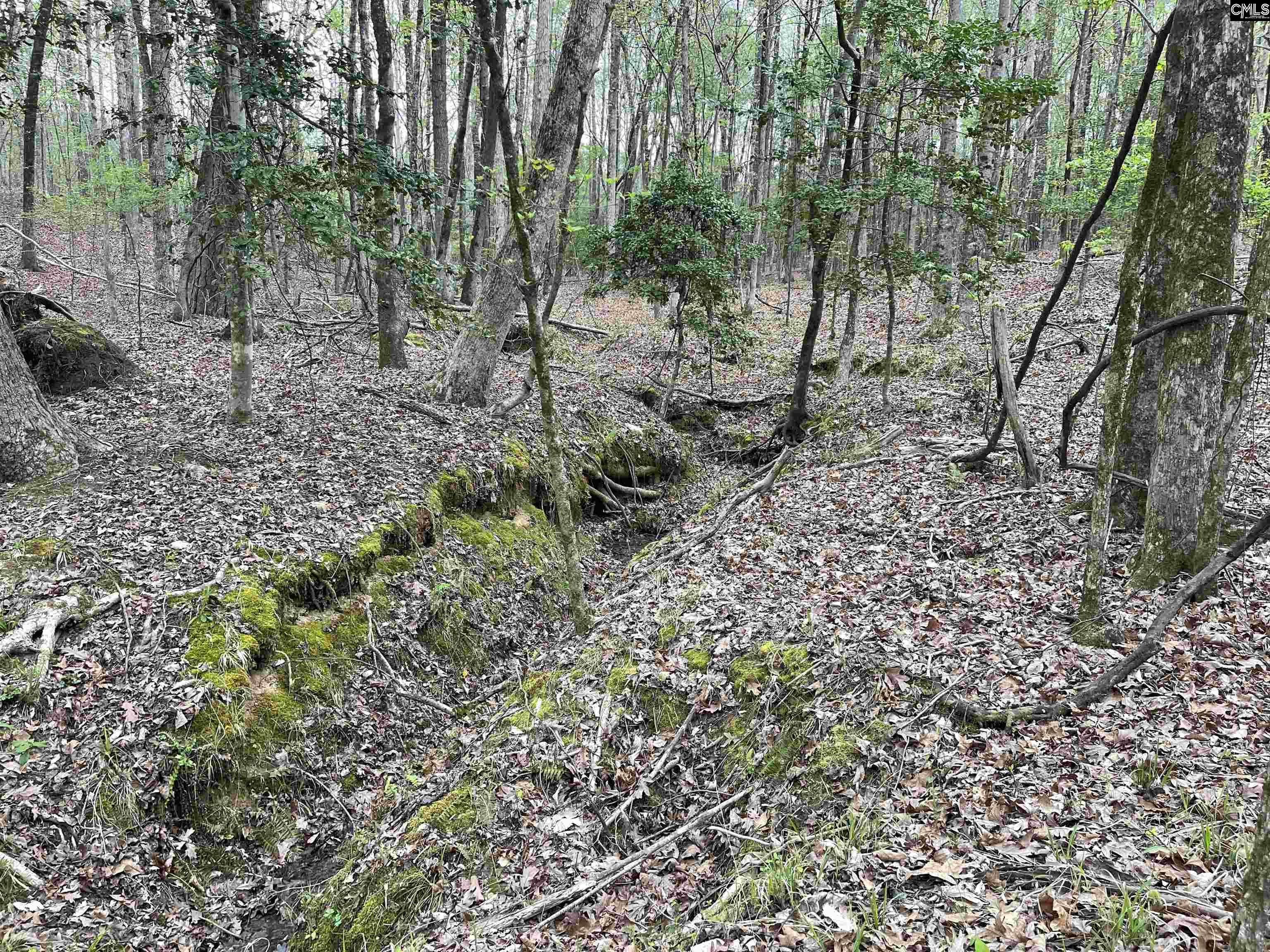 2390 Baron Dekalb Road Camden, SC 29020