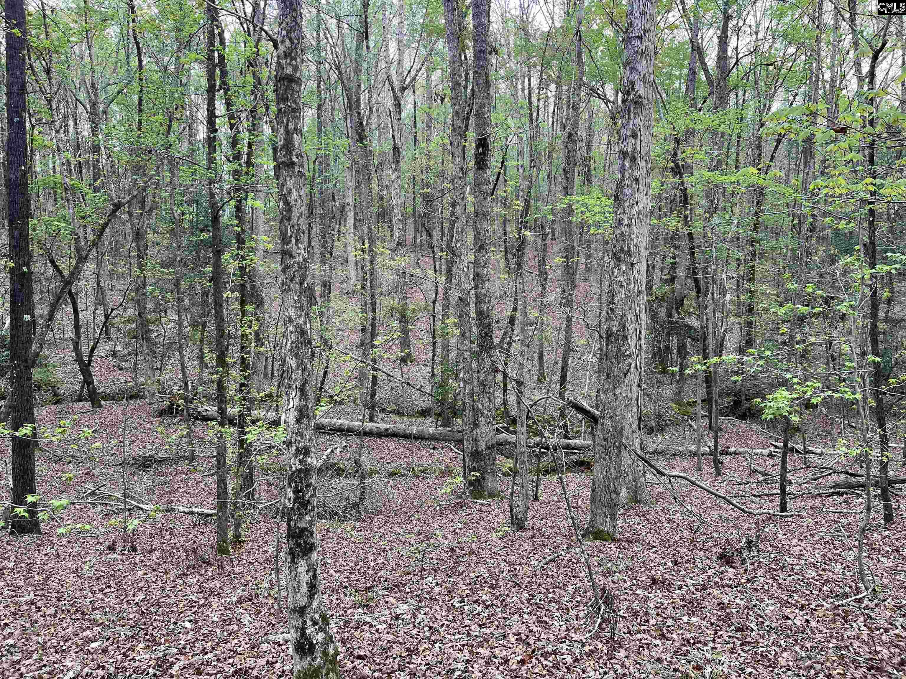 2390 Baron Dekalb Road Camden, SC 29020