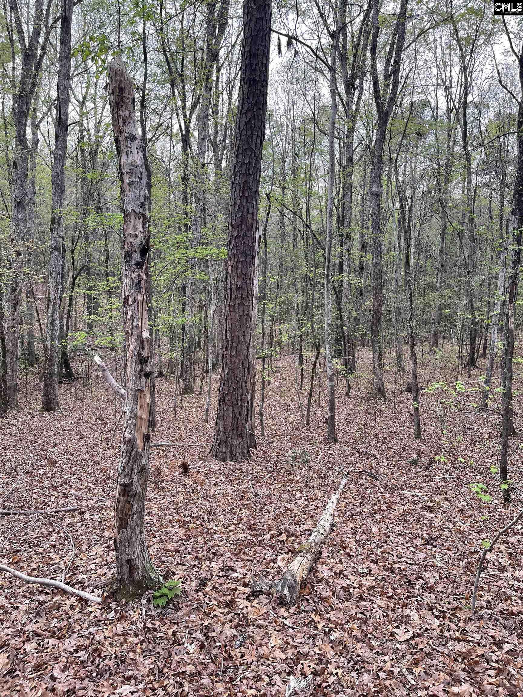 2390 Baron Dekalb Road Camden, SC 29020
