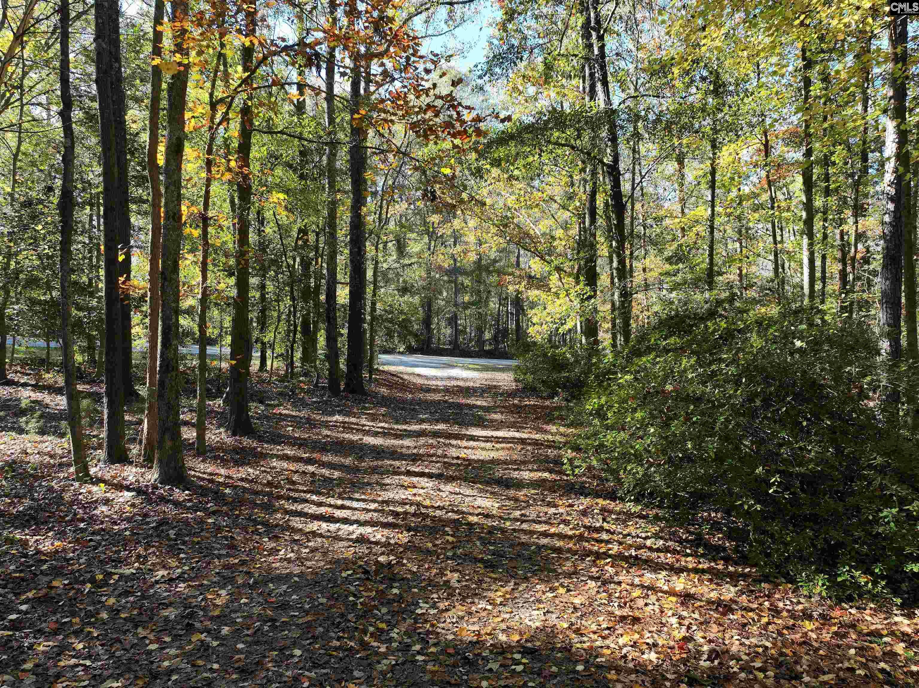 11806 Broad River Chapin, SC 29036