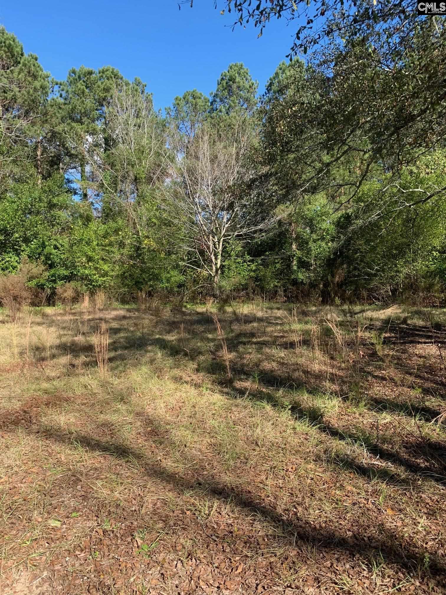 835 Russell Street Batesburg, SC 29006