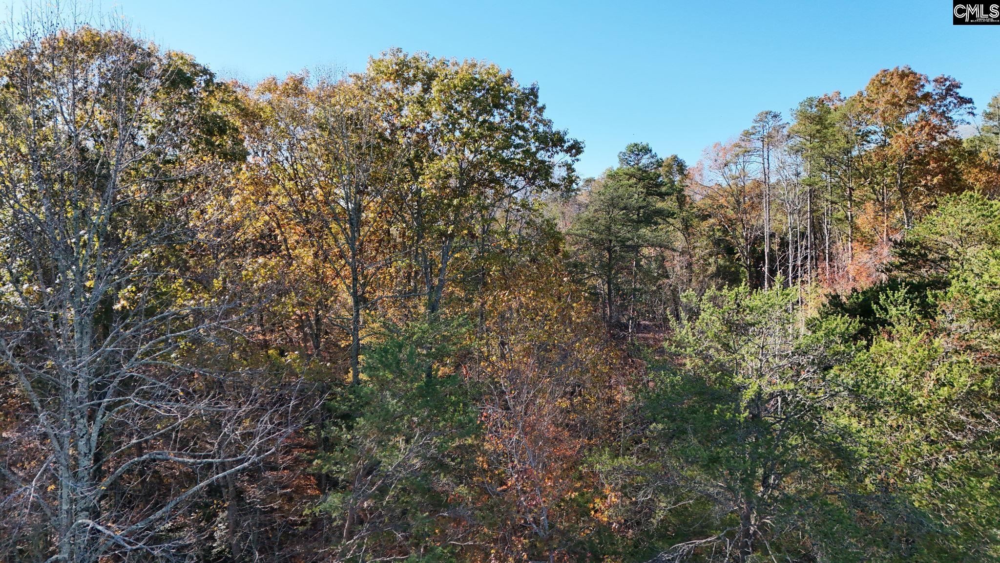 00 Riley Road, Seneca, South Carolina image 12