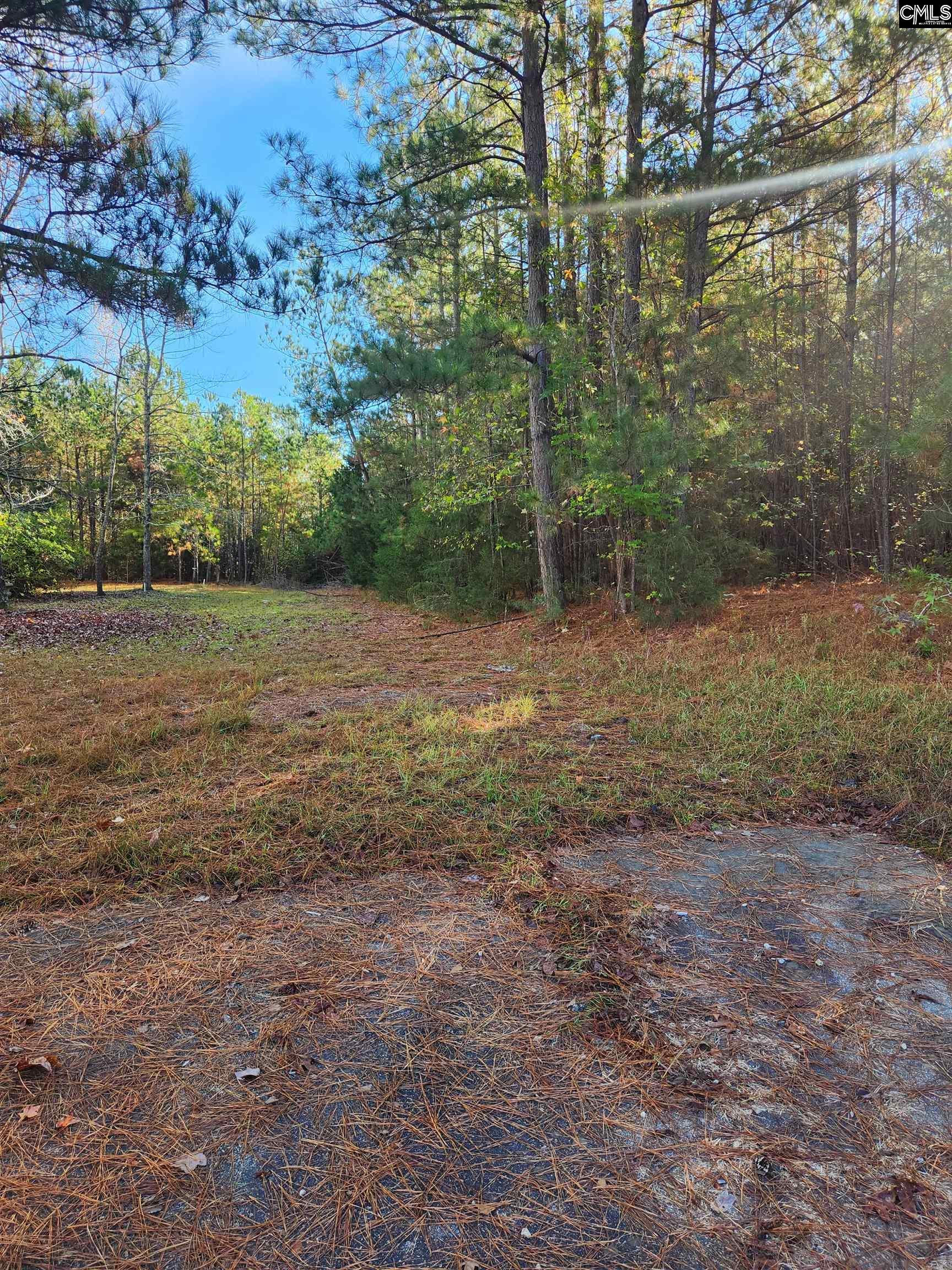E Of Sandcreek Drive, Winnsboro, South Carolina image 5