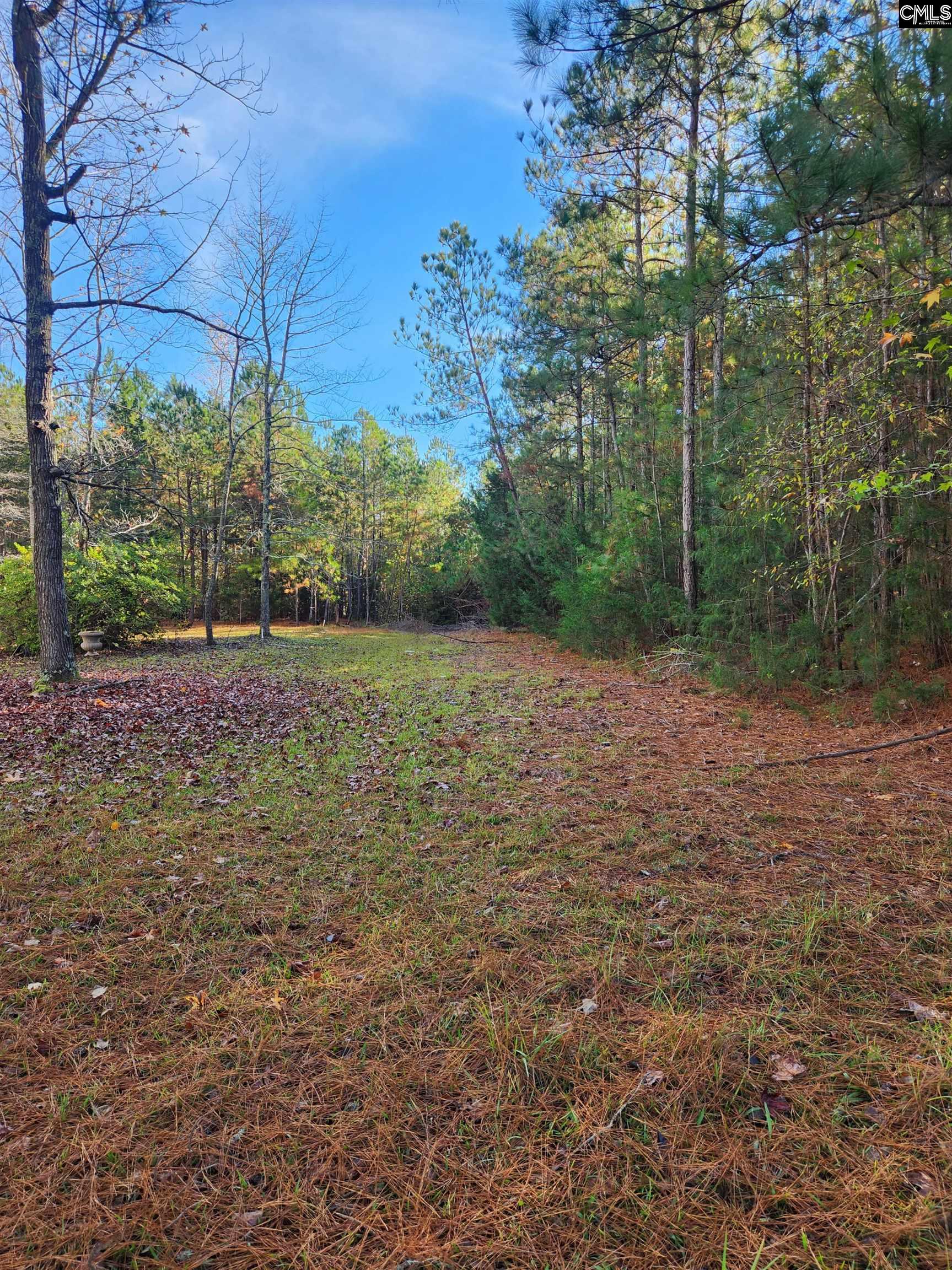 E Of Sandcreek Drive, Winnsboro, South Carolina image 6