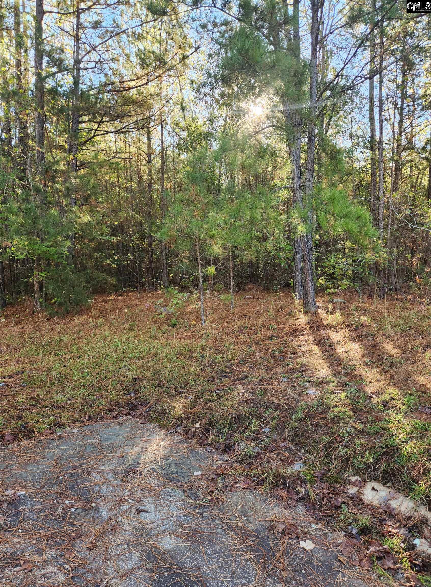E Of Sandcreek Drive, Winnsboro, South Carolina image 7