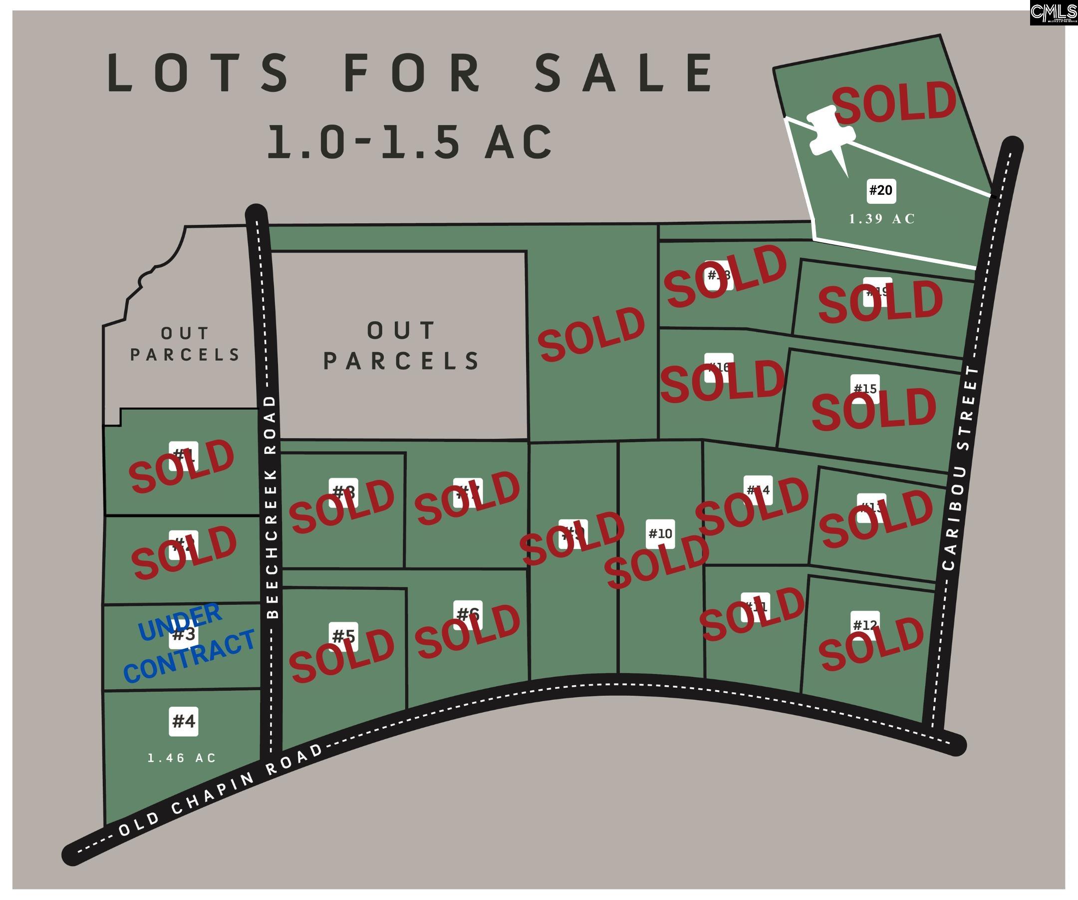 157 Caribou Street Unit #20 Lexington, SC 29072