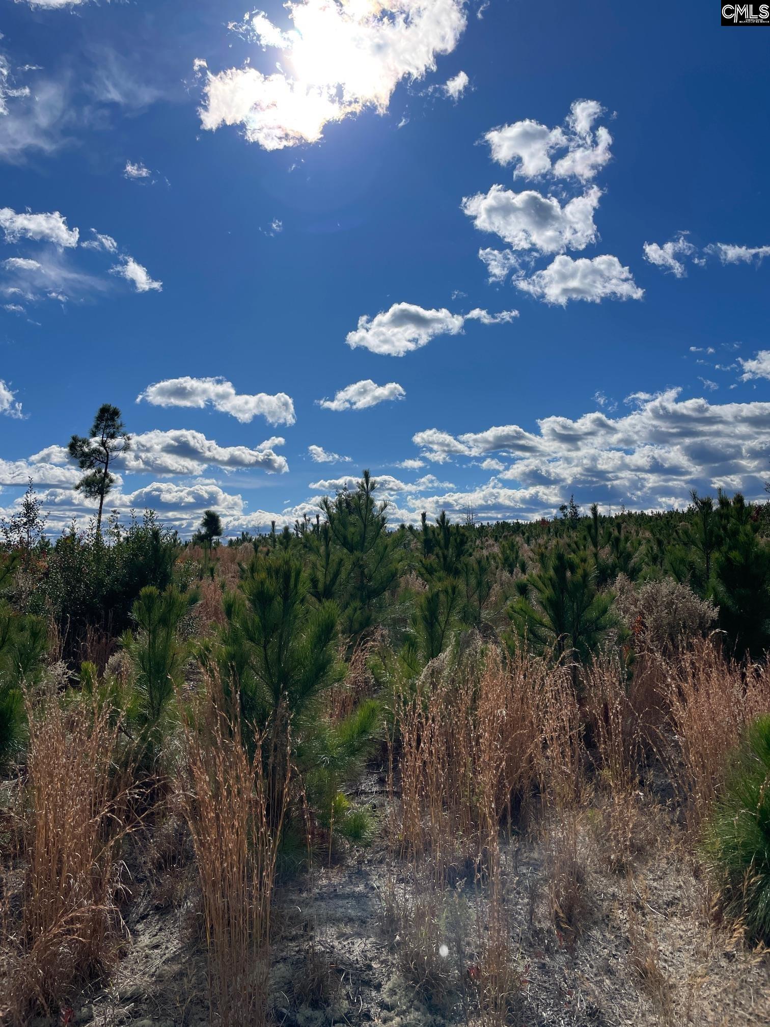 00 Keys (lot 9) Lane Kershaw, SC 29067-0000