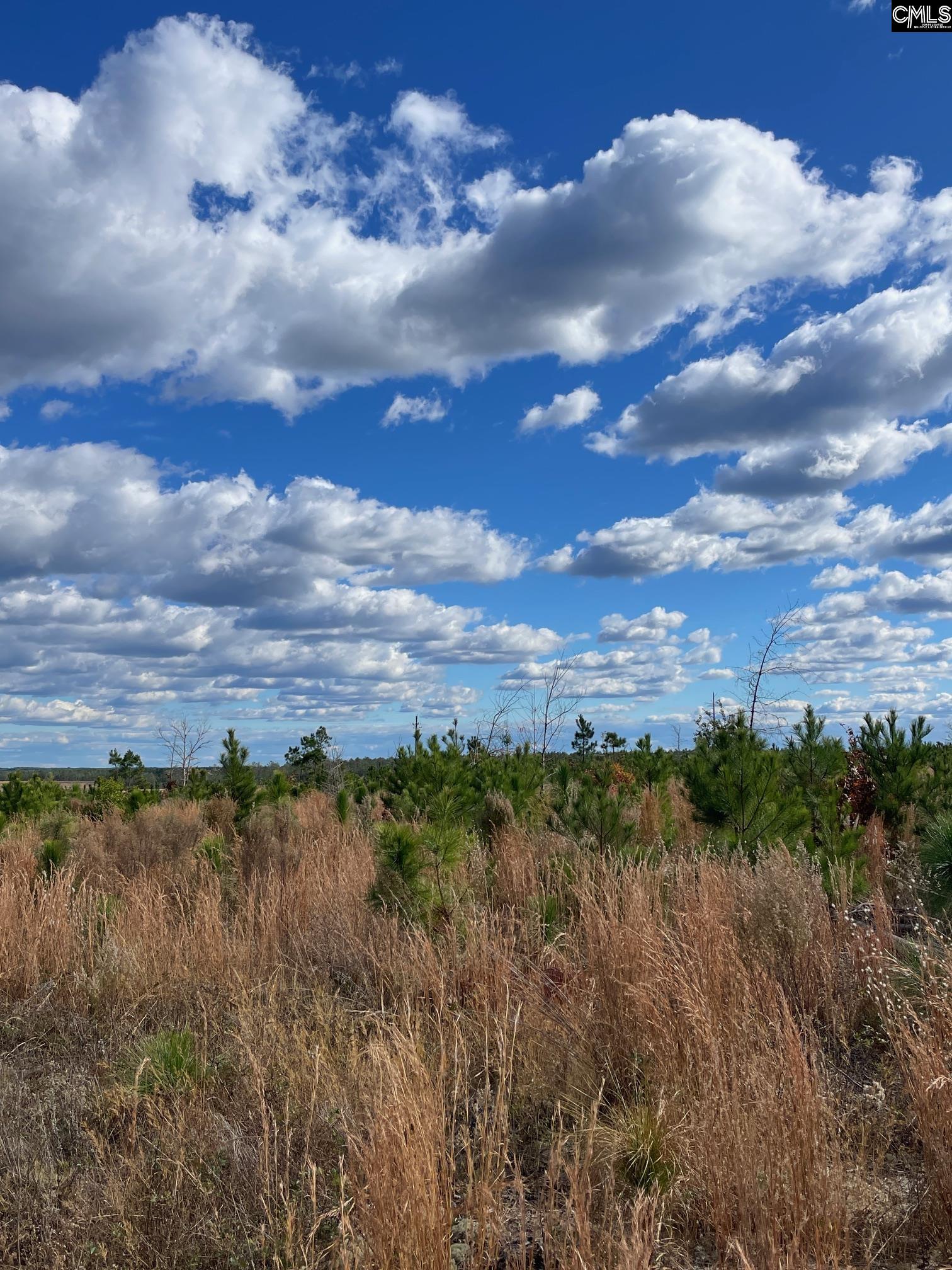 00 Keys (lot 9) Lane Kershaw, SC 29067-0000