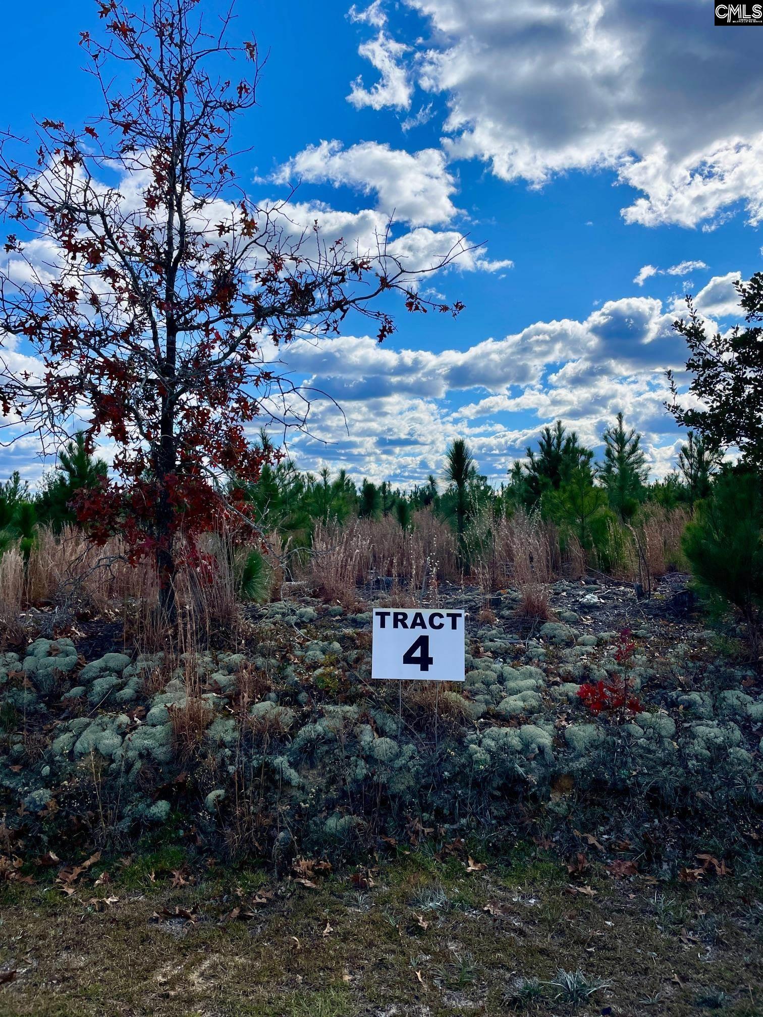 00 Keys (lot 4) Lane Kershaw, SC 29067-0000