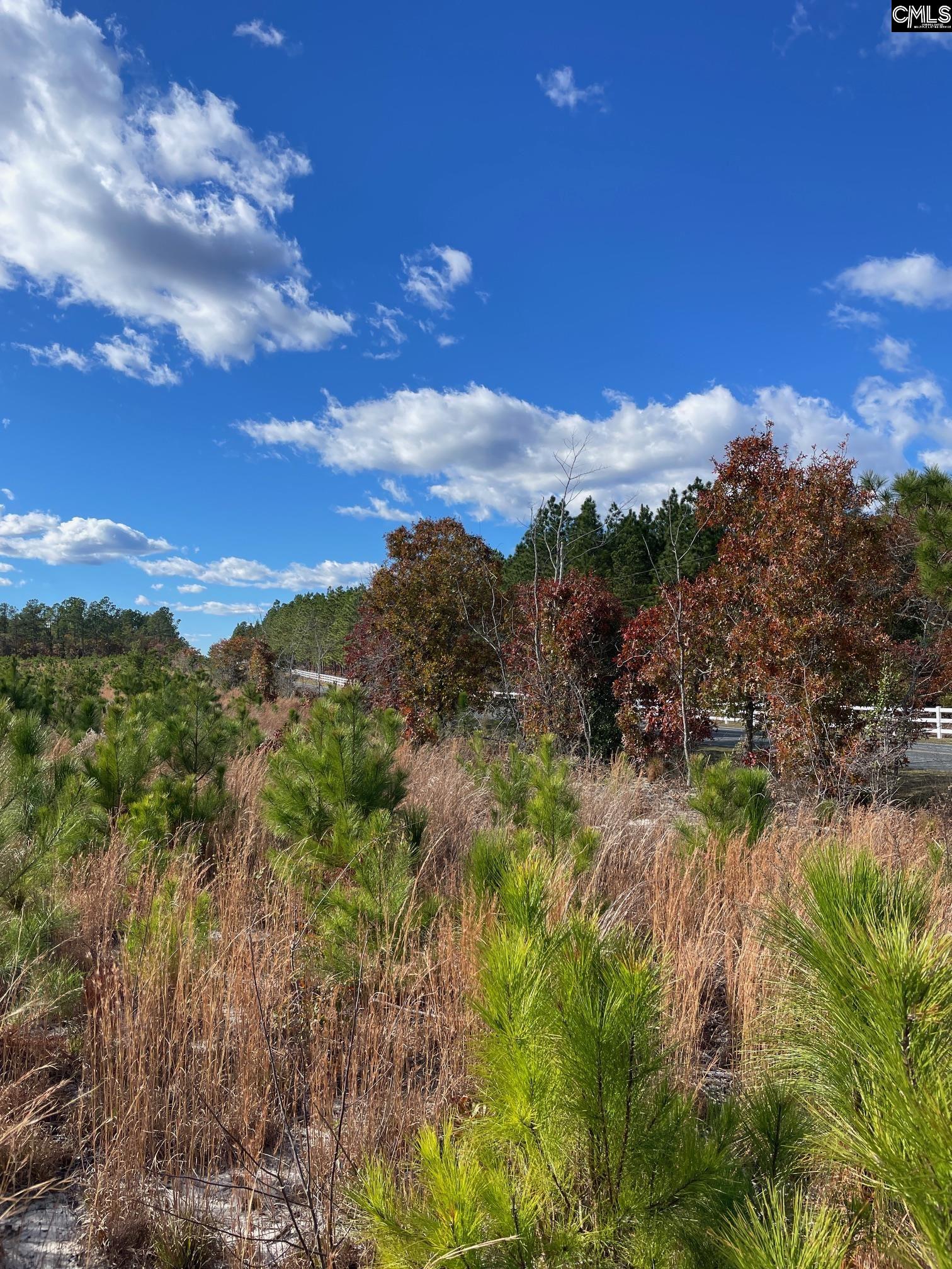 00 Keys (lot 3) Lane, Kershaw, South Carolina image 4