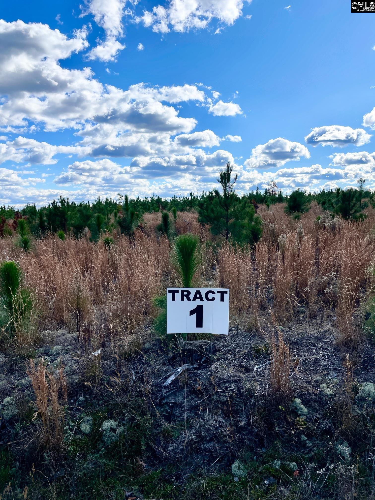 00 Keys (lot 1) Lane Unit #1 Kershaw, SC 29067-0000