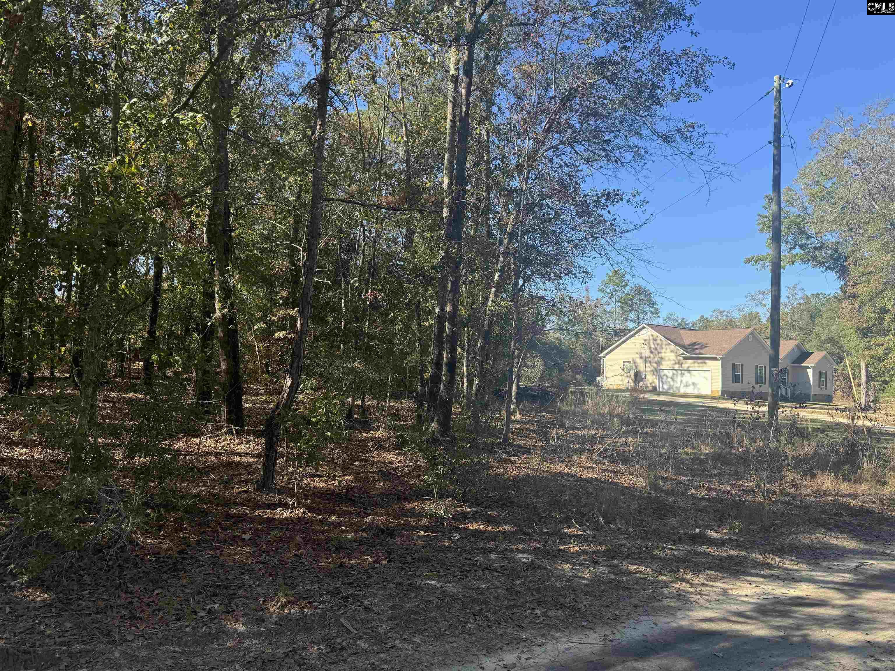 TBD Possum Trail, Bamberg, South Carolina image 3