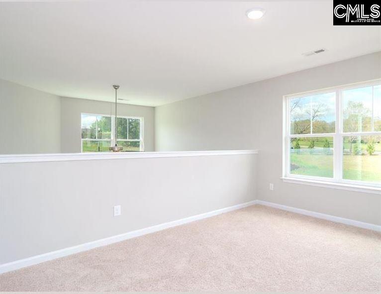 338 Clarendon Court, Lexington, South Carolina image 27