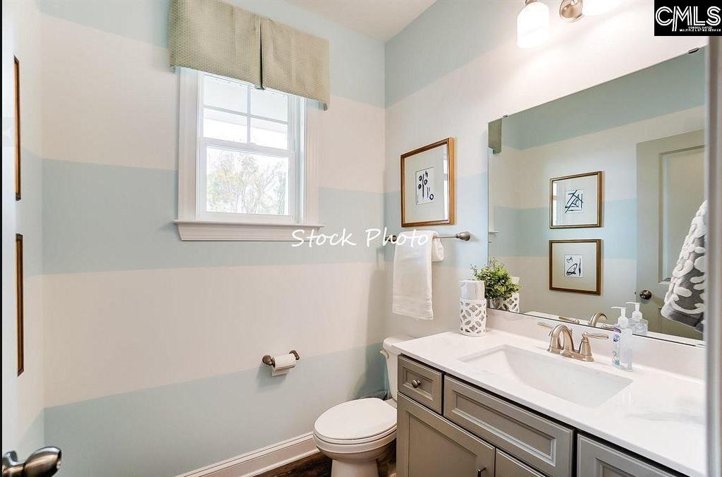 338 Clarendon Court, Lexington, South Carolina image 10