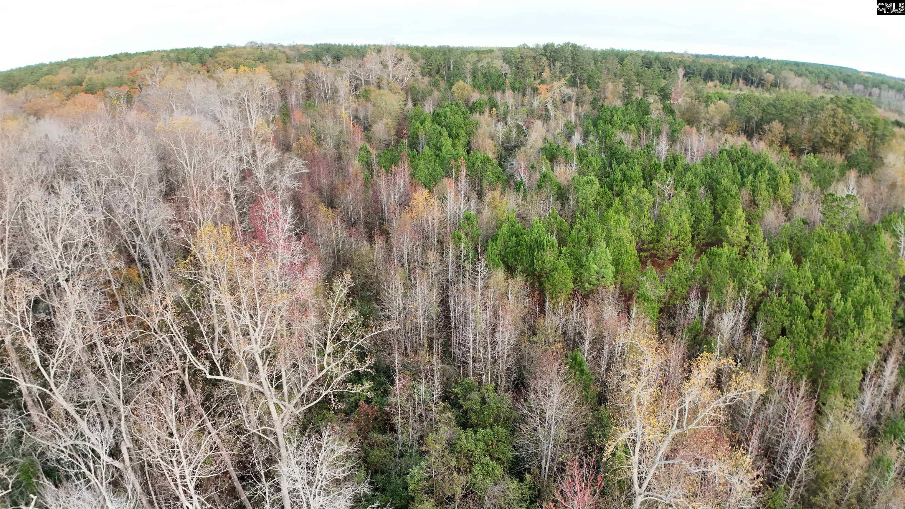 1754 Brewer Springs Road Camden, SC 29020-0000