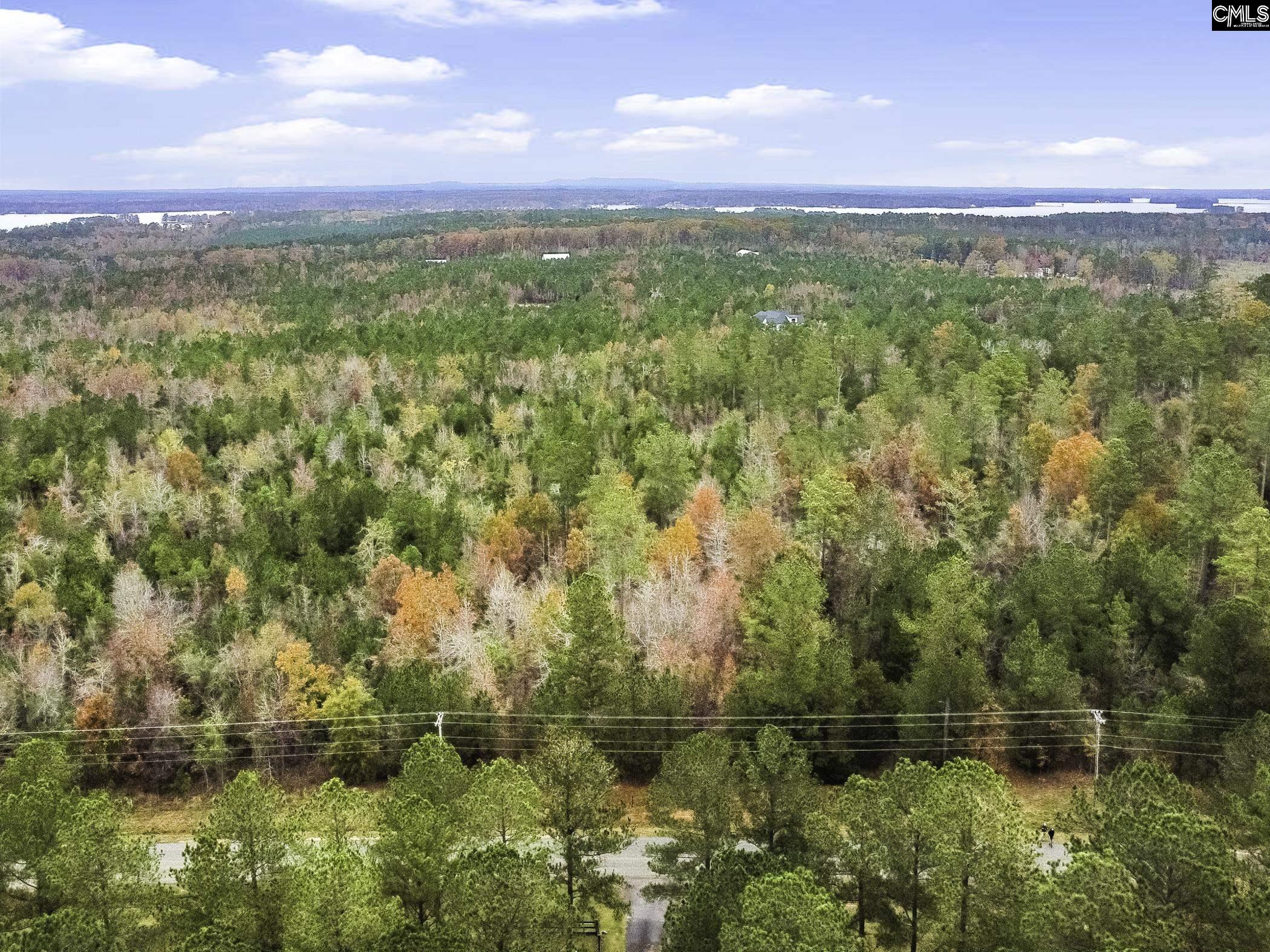 00A Rock N Creek Road, Leesville, South Carolina image 1