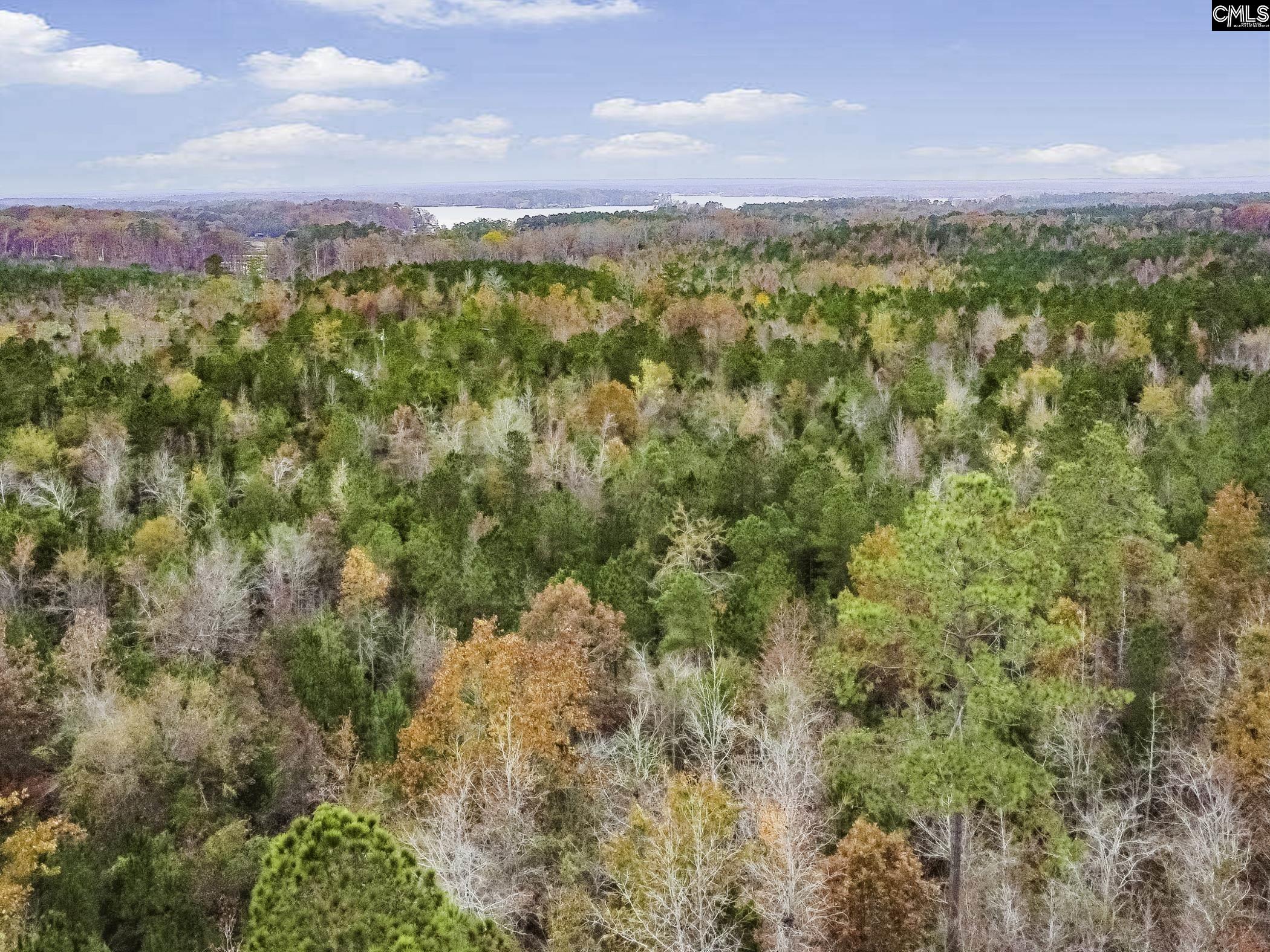 00A Rock N Creek Road, Leesville, South Carolina image 4
