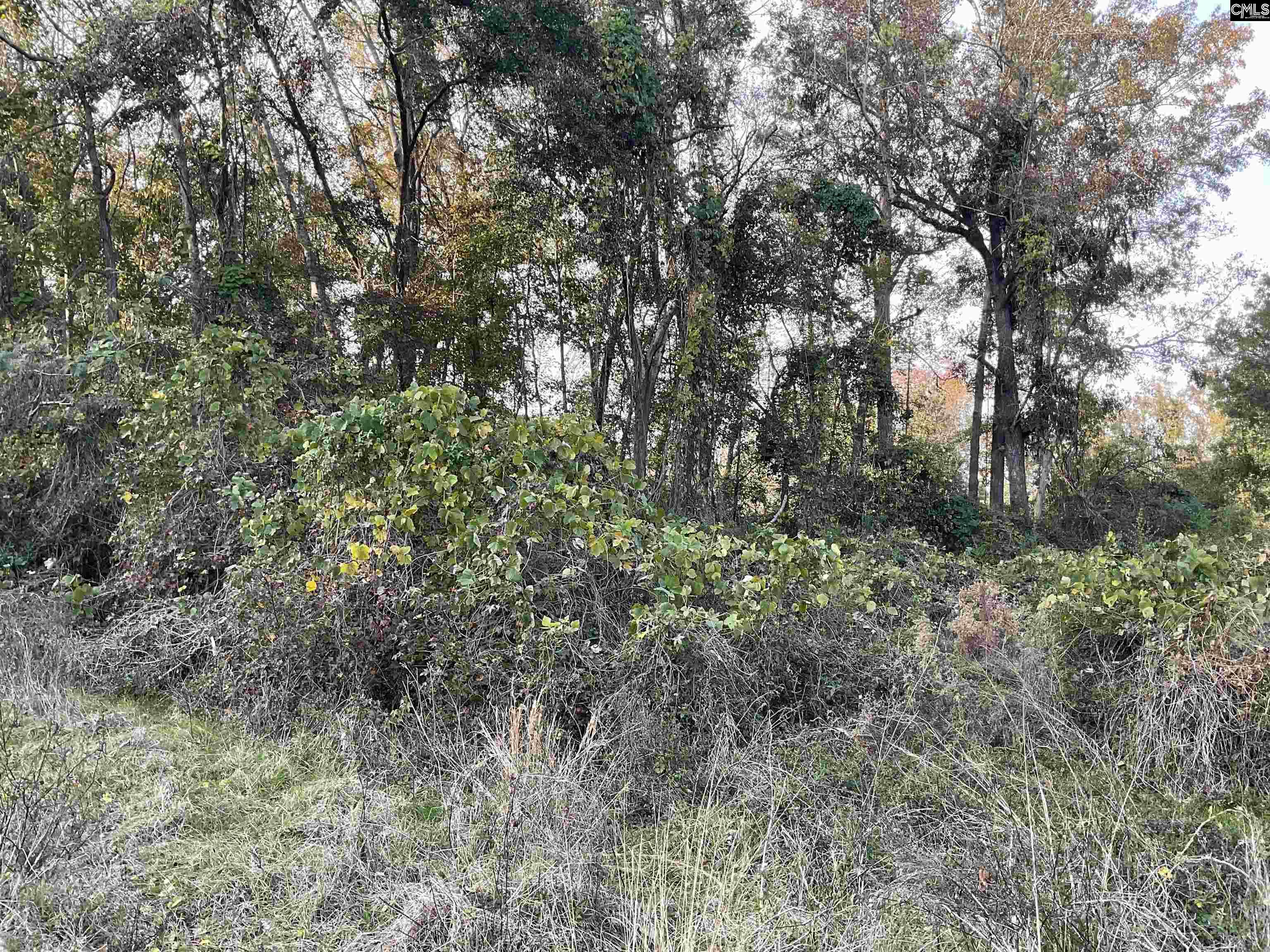 Brook Drive, Bamberg, South Carolina image 1