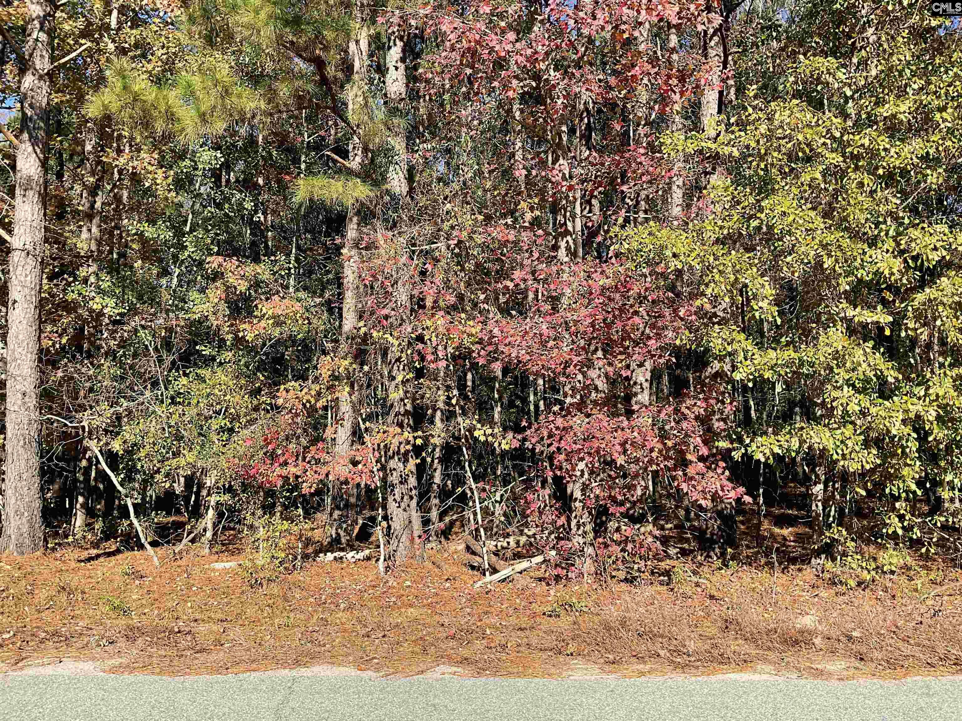 Brook Drive, Bamberg, South Carolina image 3
