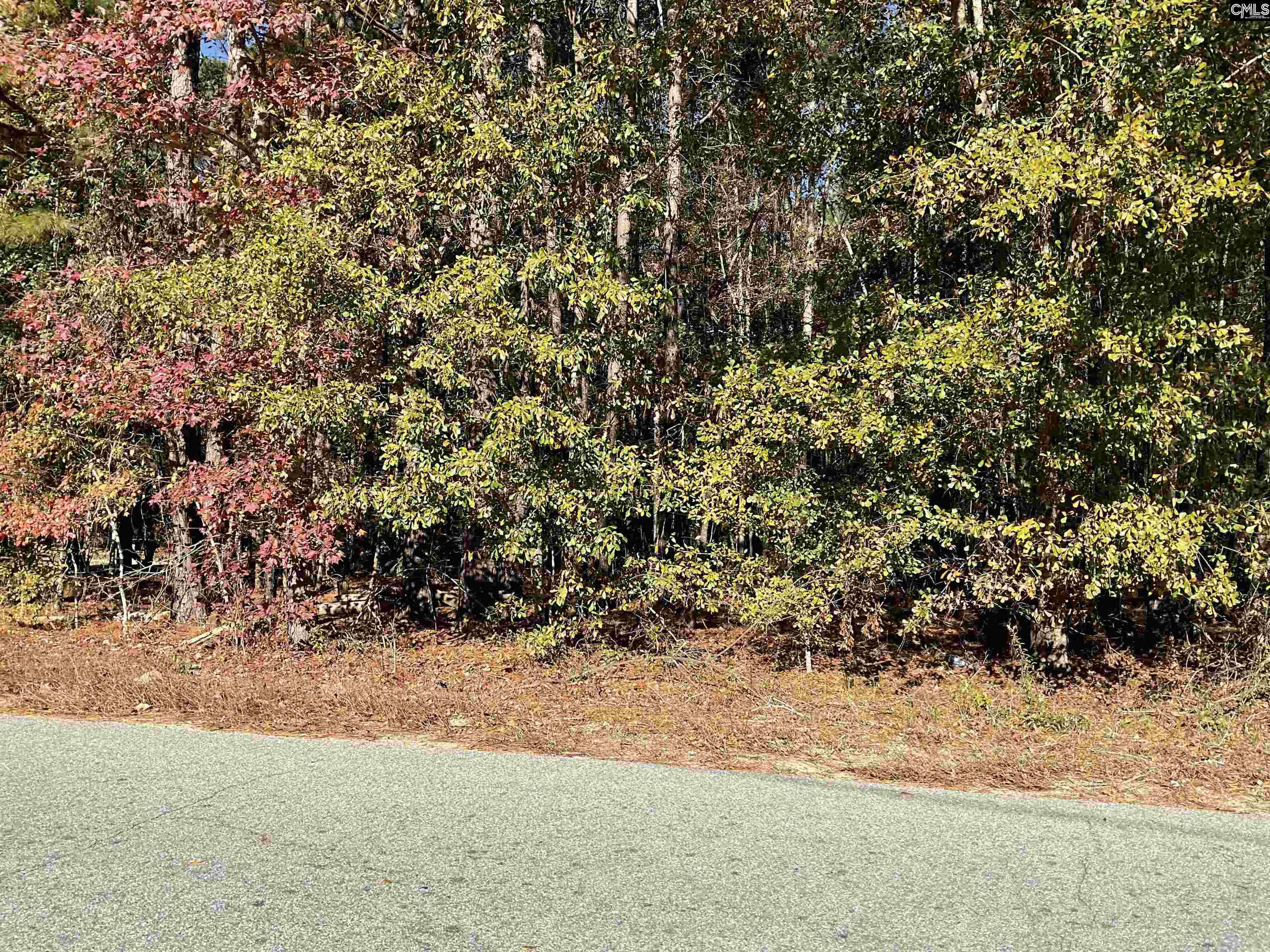 Brook Drive, Bamberg, South Carolina image 4