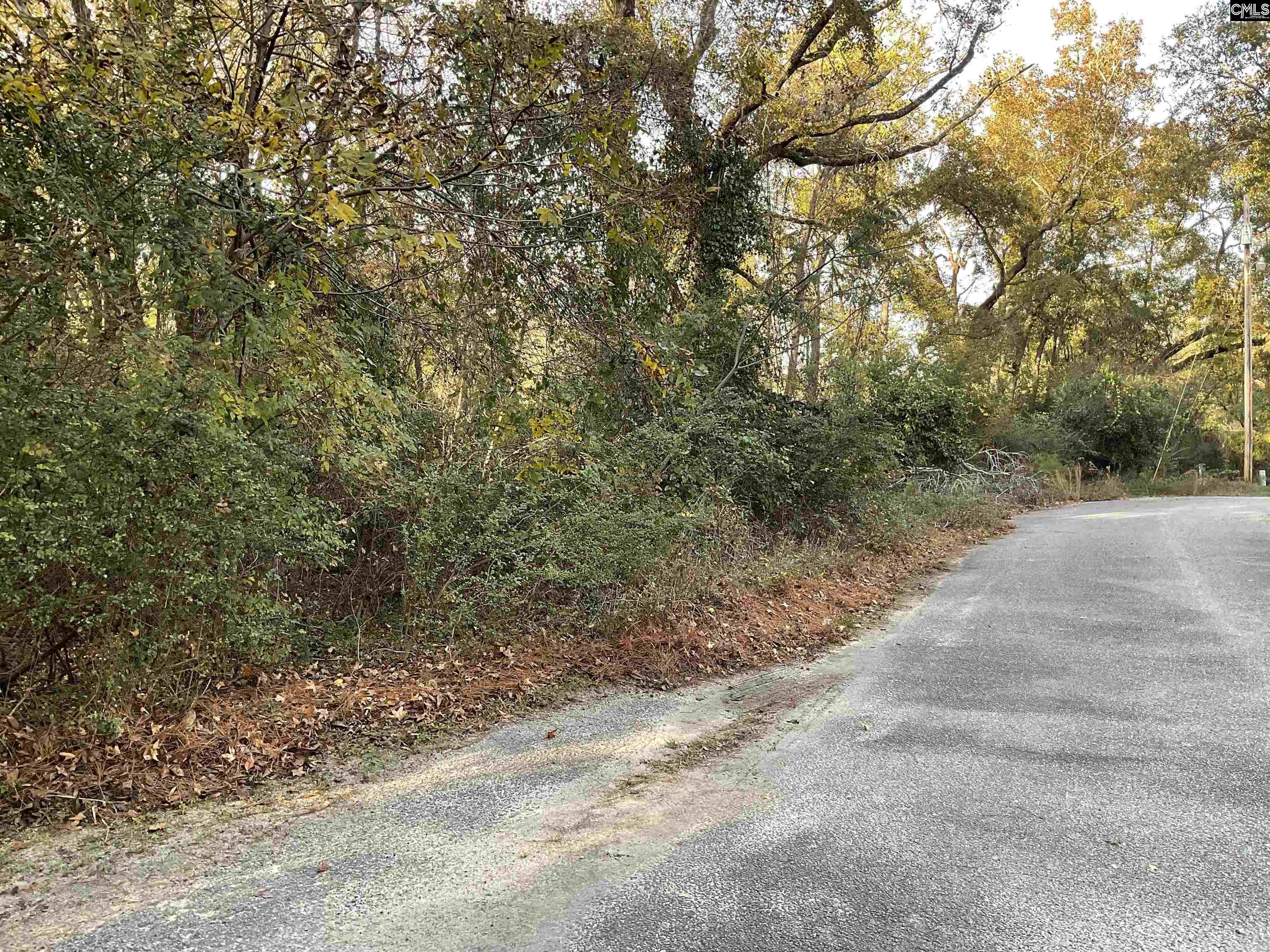 Brook Drive, Bamberg, South Carolina image 5