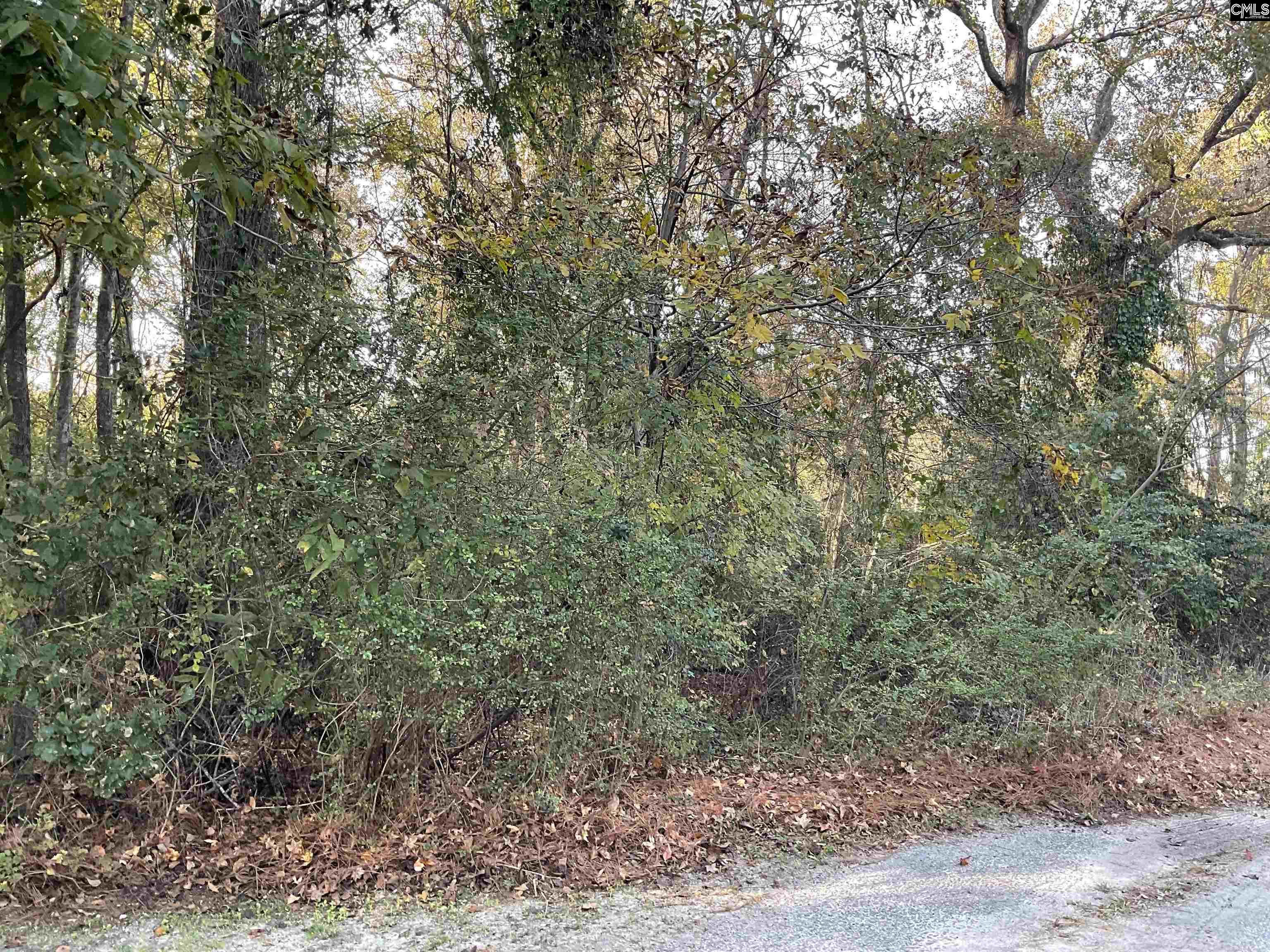 Brook Drive, Bamberg, South Carolina image 6