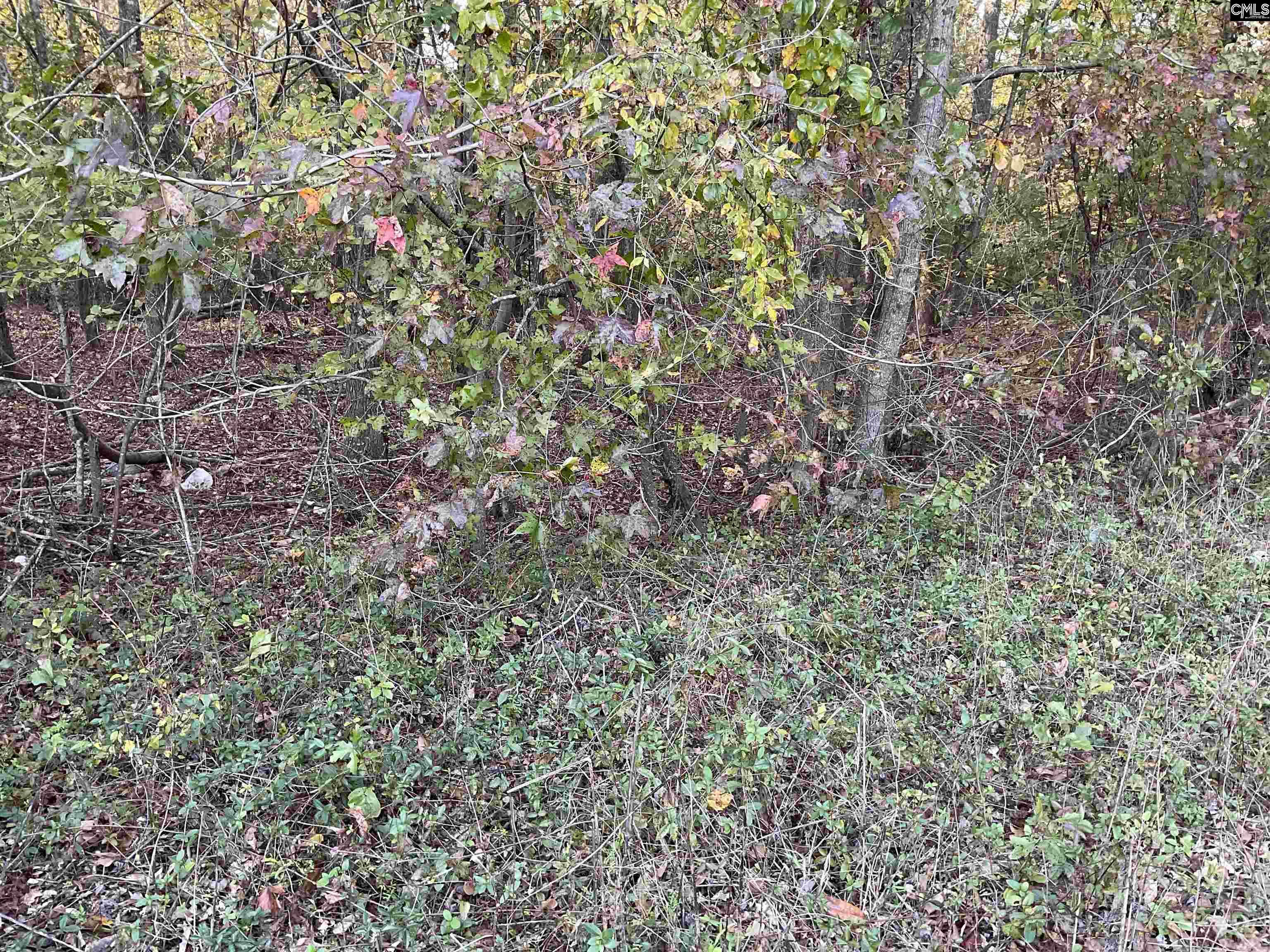 Brook Drive, Bamberg, South Carolina image 7