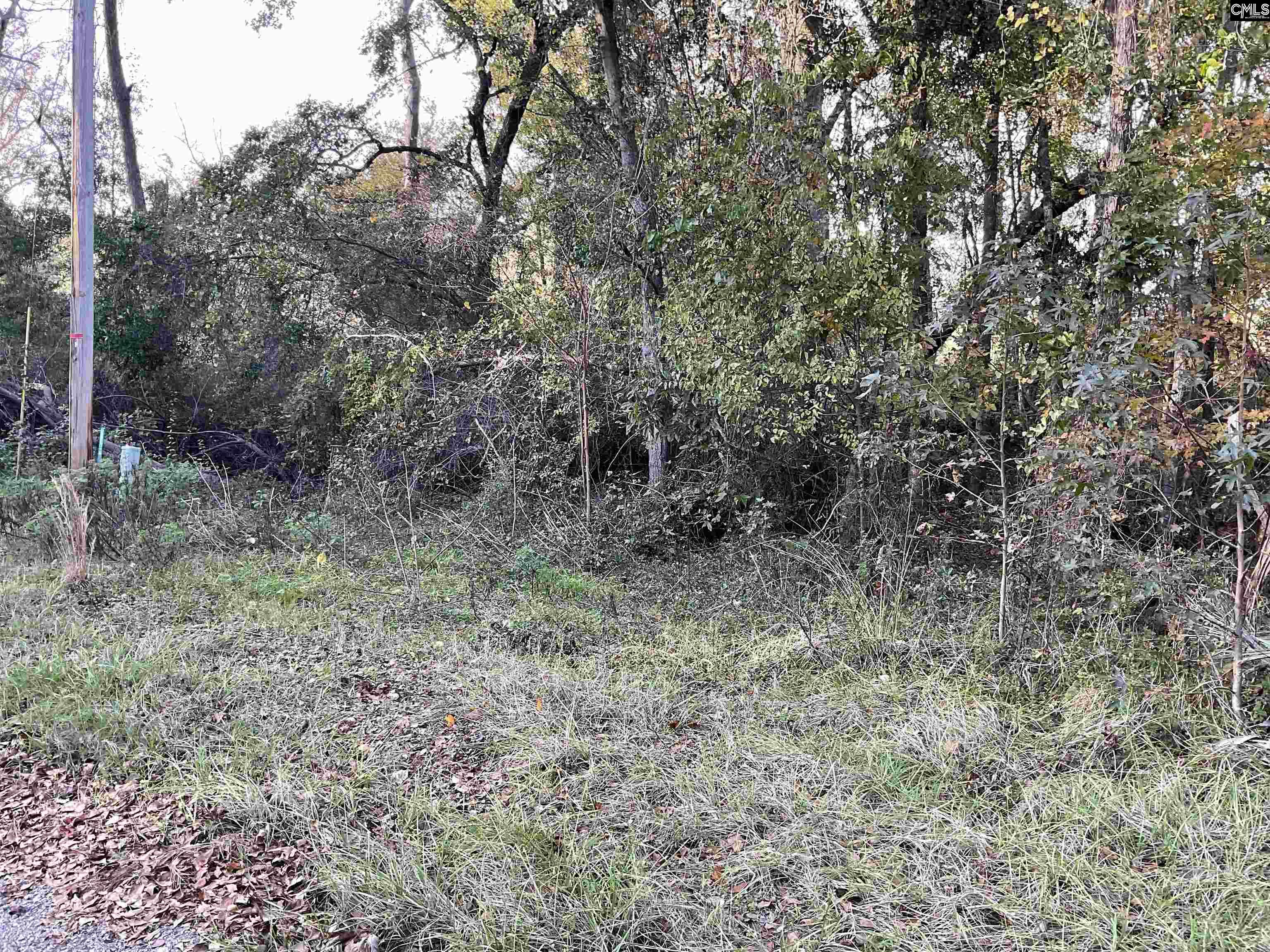 Brook Drive, Bamberg, South Carolina image 8