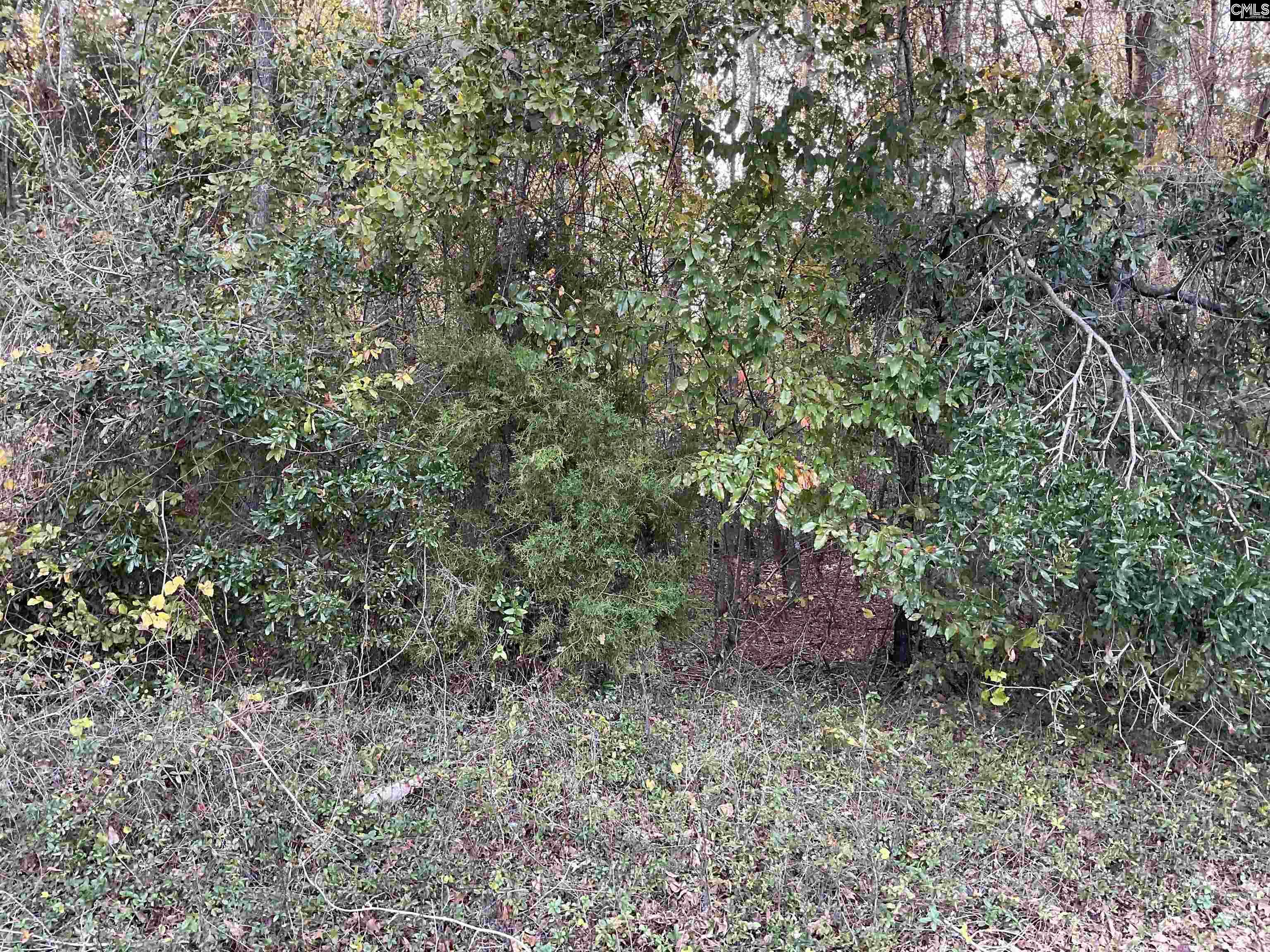 Brook Drive, Bamberg, South Carolina image 9