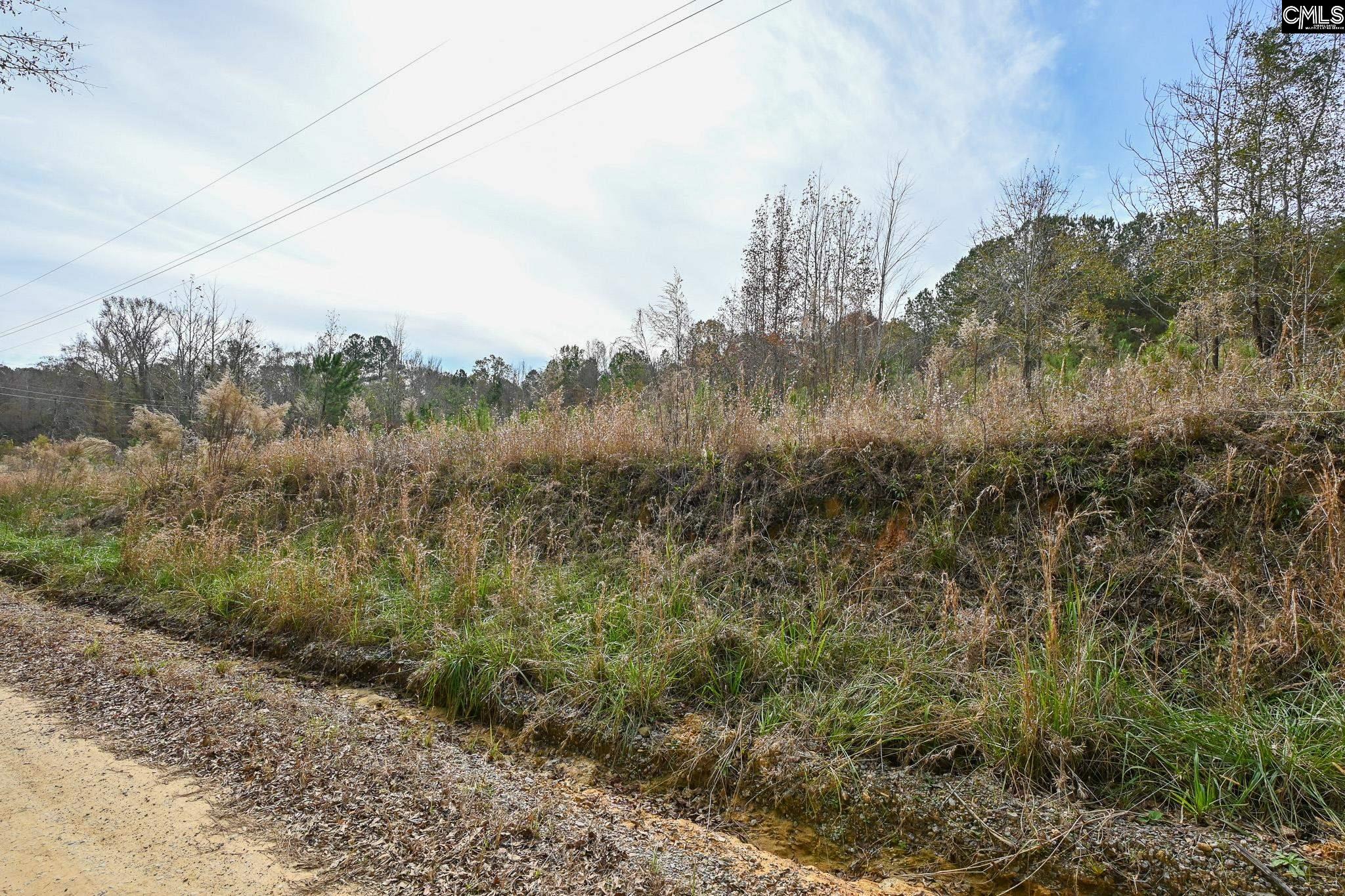 1621 Ethan Cook Road, Leesville, South Carolina image 2
